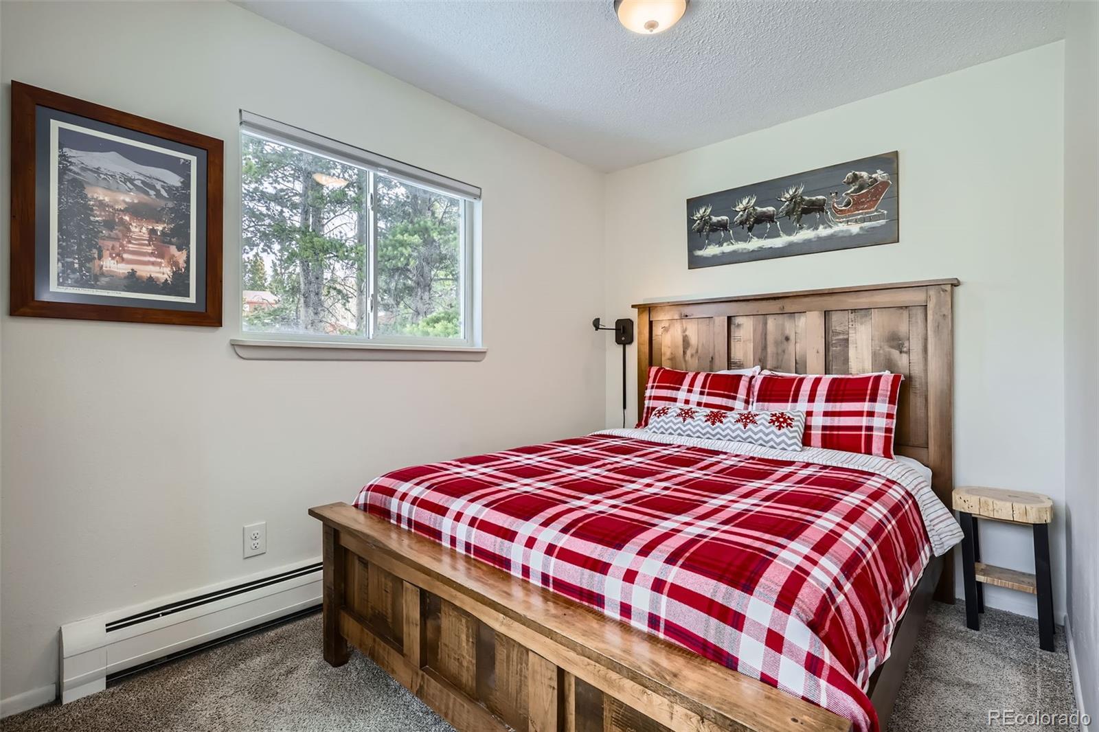 MLS Image #12 for 1941  boreas pass road,breckenridge, Colorado