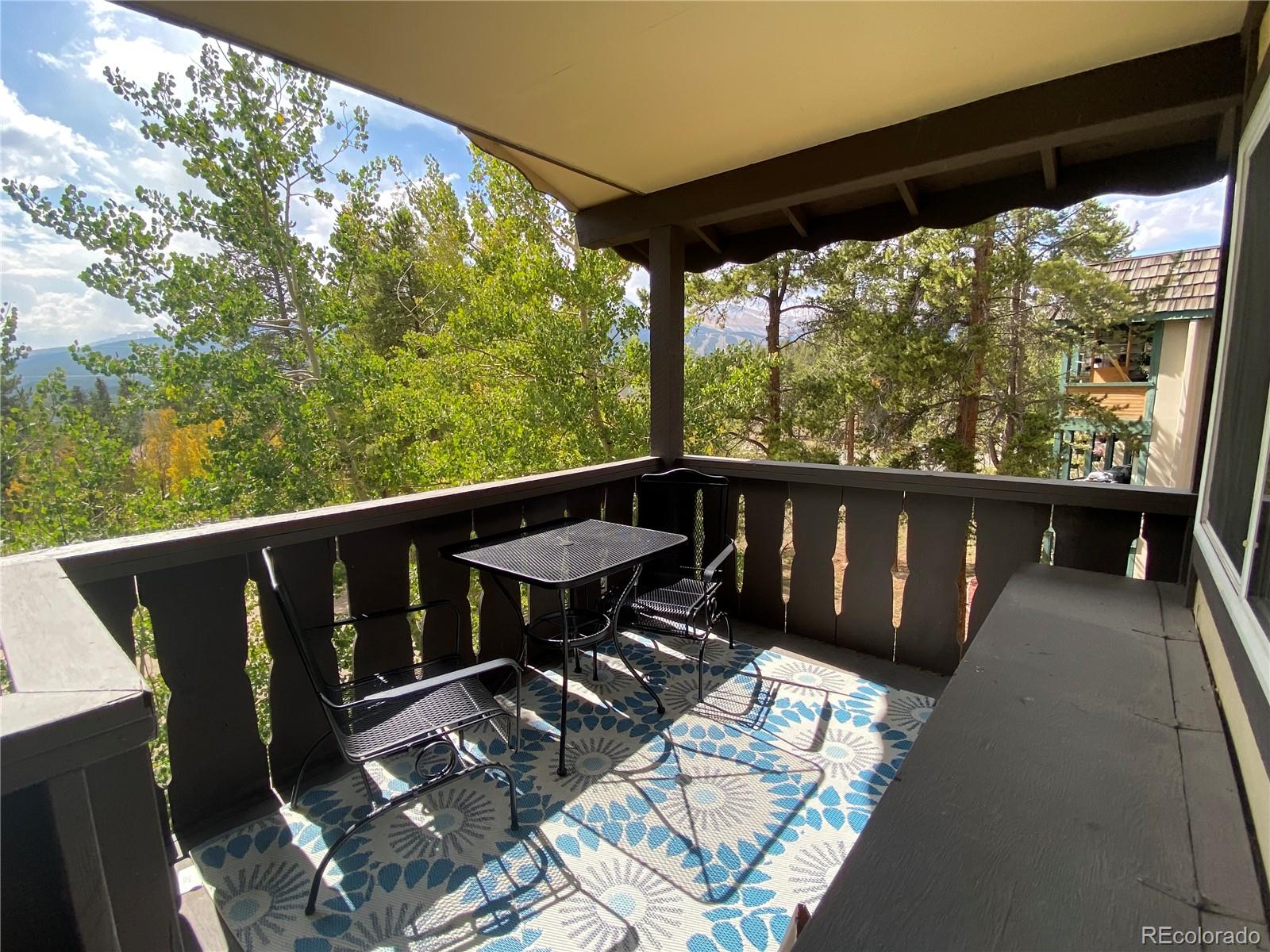 MLS Image #17 for 1941  boreas pass road,breckenridge, Colorado