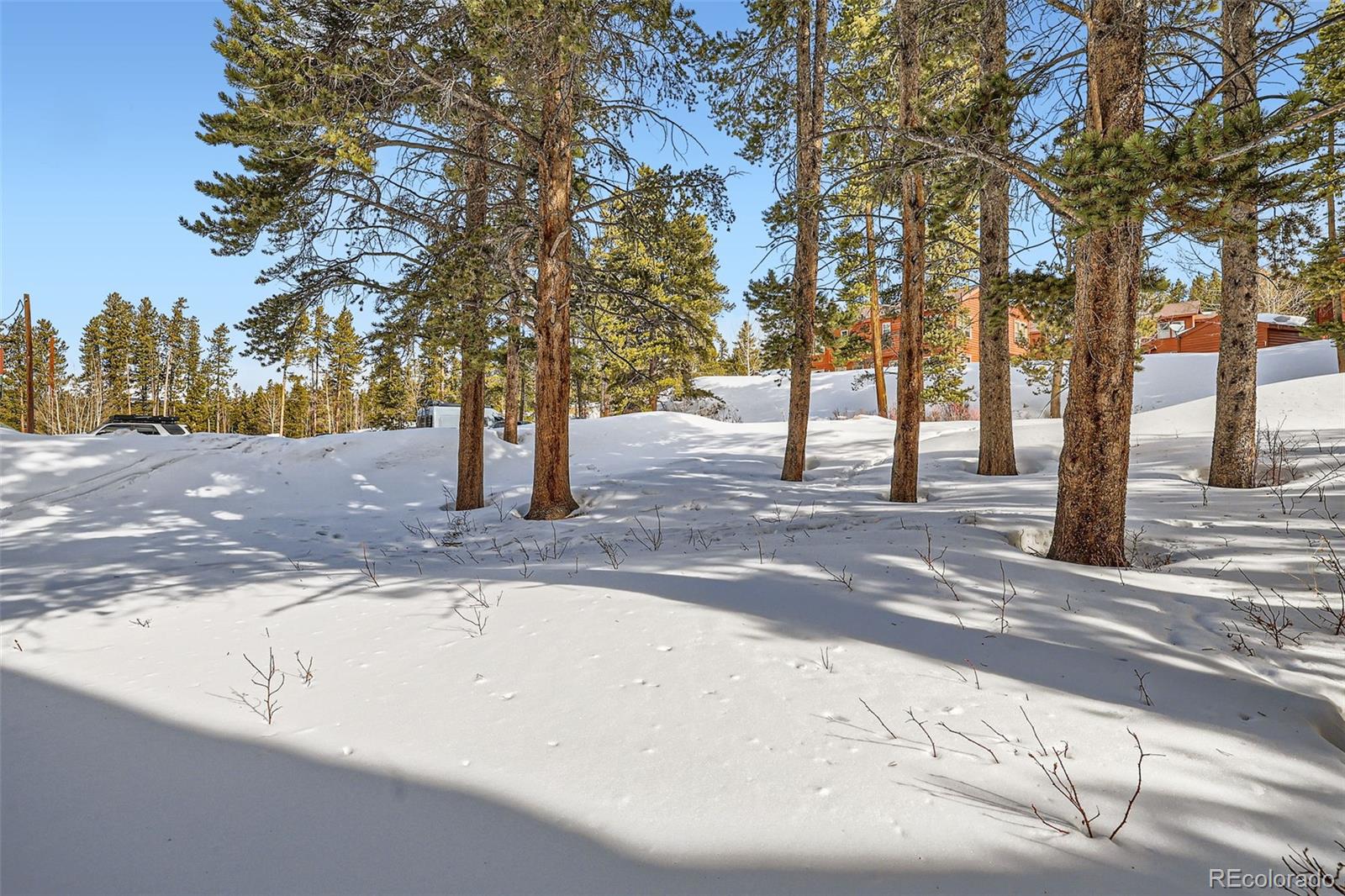 MLS Image #21 for 1941  boreas pass road,breckenridge, Colorado