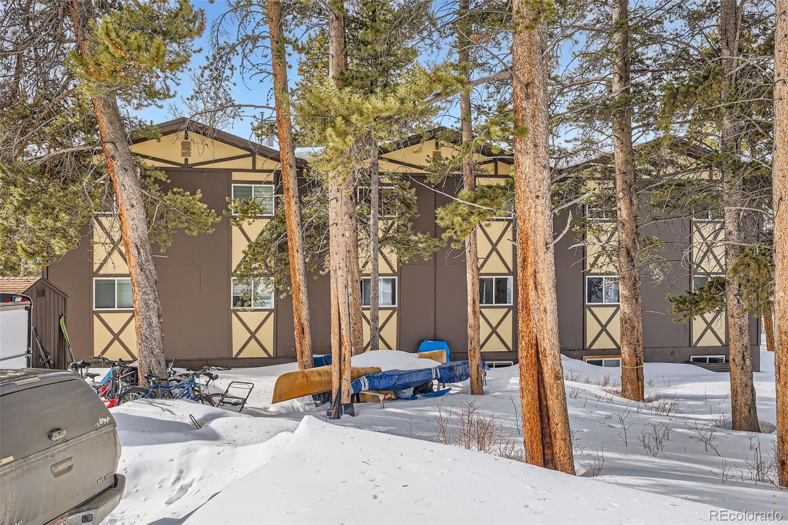 MLS Image #22 for 1941  boreas pass road,breckenridge, Colorado