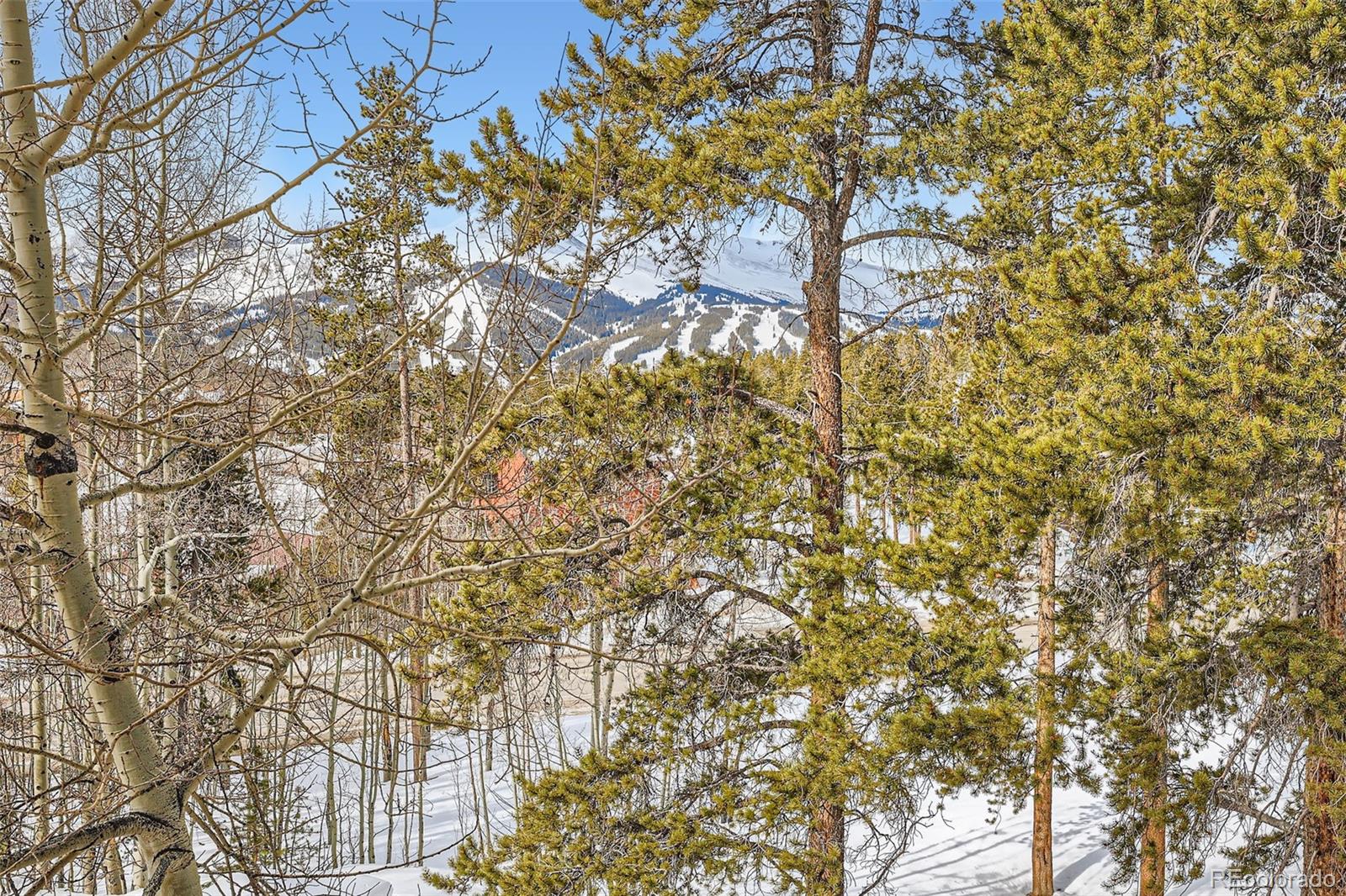 MLS Image #23 for 1941  boreas pass road,breckenridge, Colorado