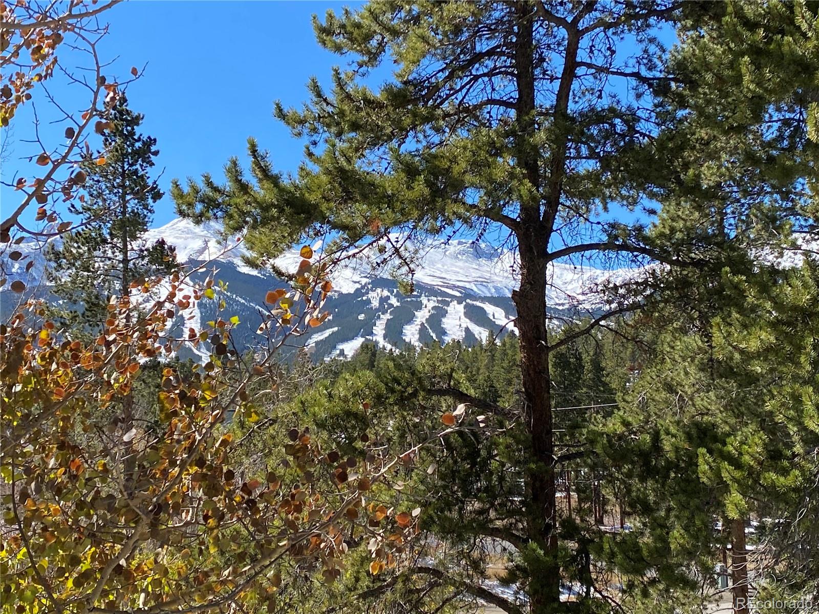 MLS Image #25 for 1941  boreas pass road,breckenridge, Colorado