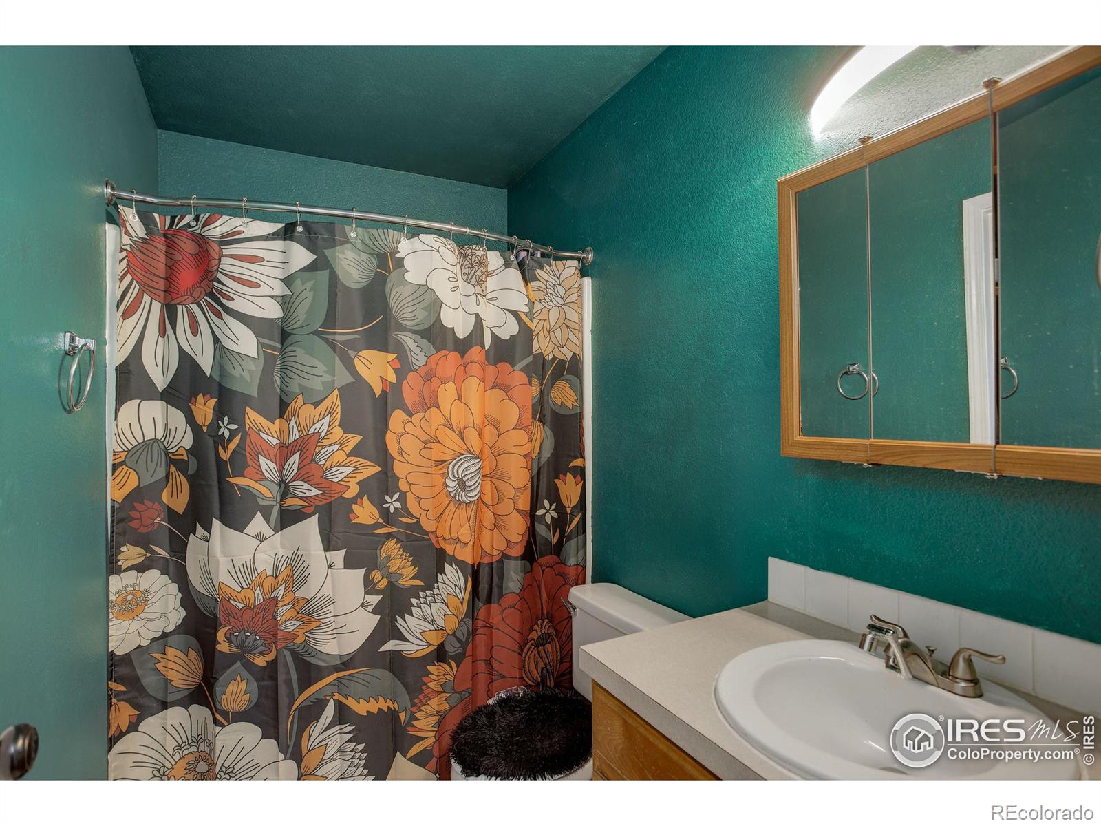 MLS Image #18 for 2439  arbor avenue,greeley, Colorado