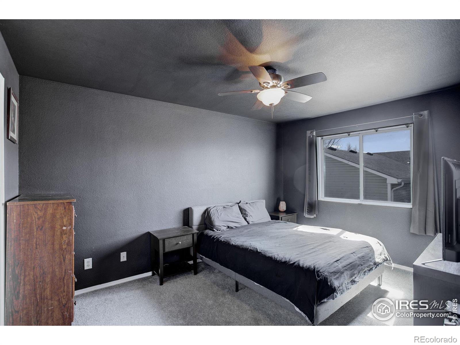 MLS Image #19 for 2439  arbor avenue,greeley, Colorado
