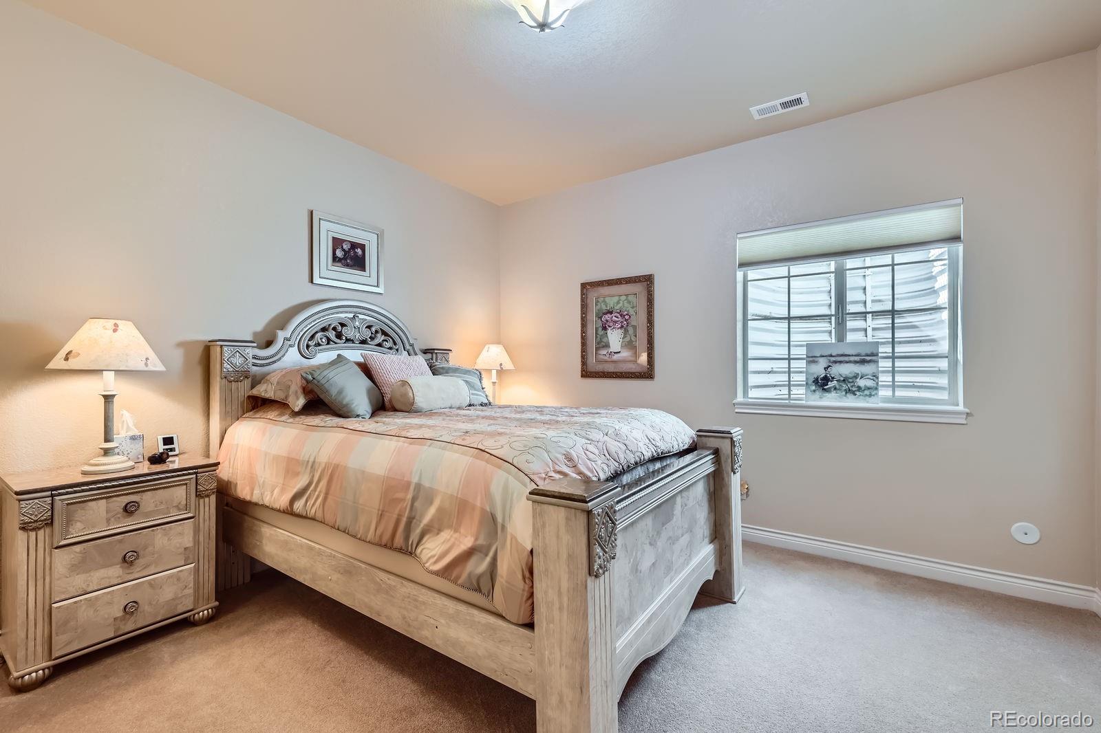 MLS Image #18 for 614  orchestra drive,colorado springs, Colorado