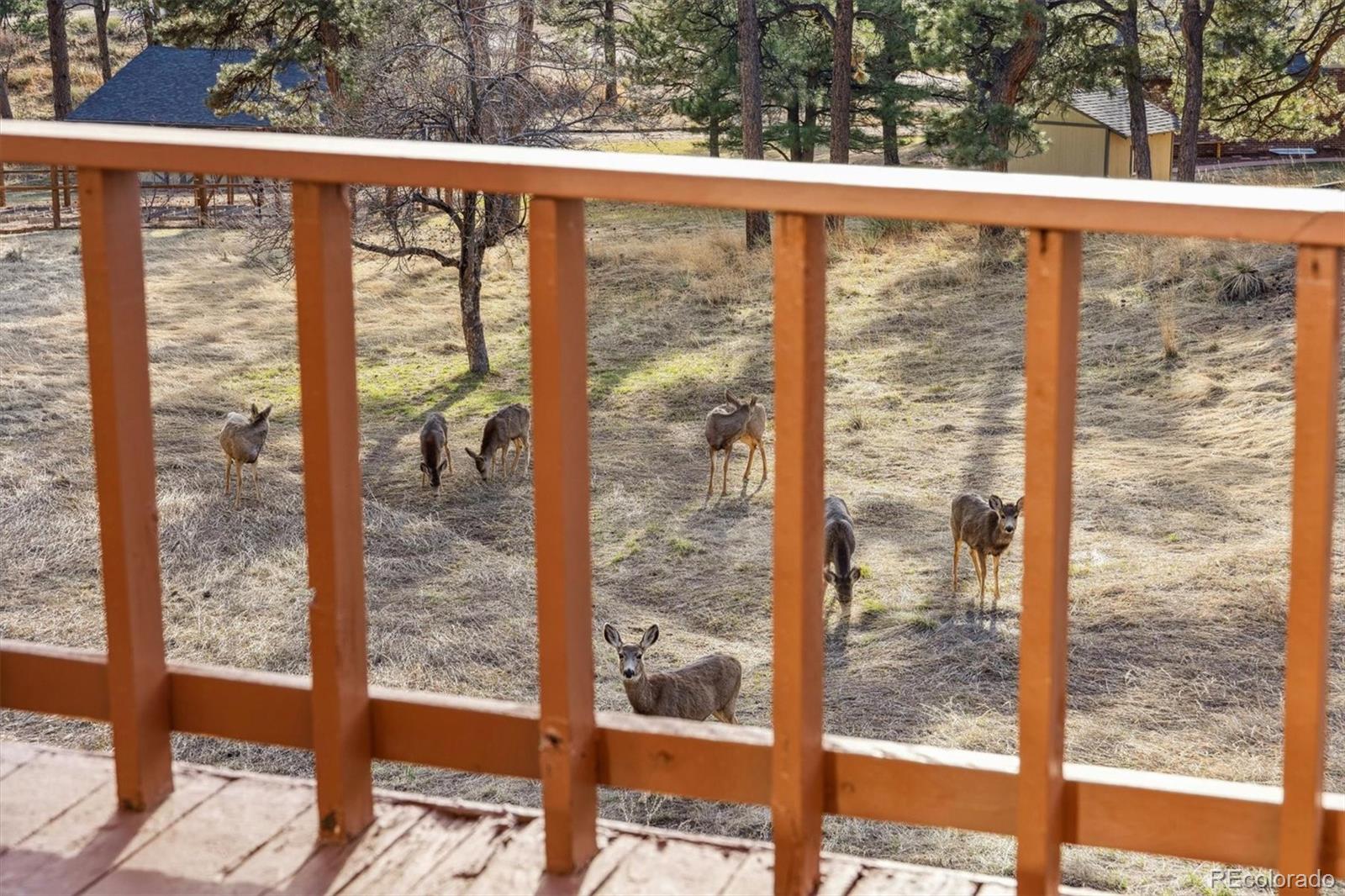 MLS Image #29 for 12493  forest canyon drive,parker, Colorado