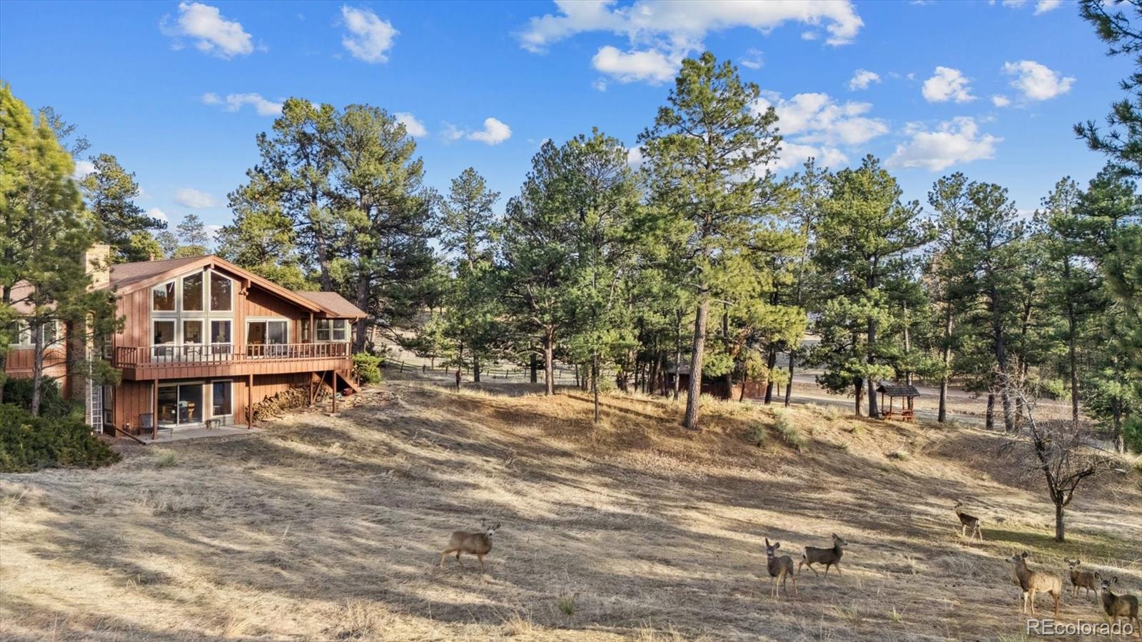 MLS Image #4 for 12493  forest canyon drive,parker, Colorado