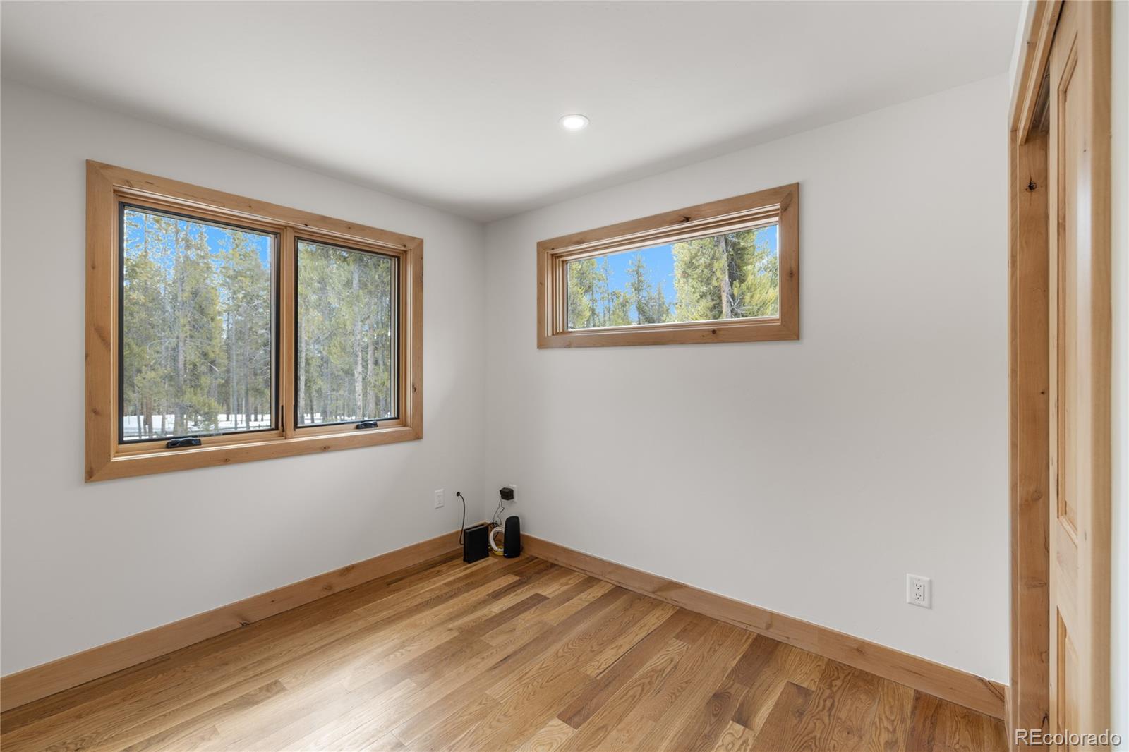 MLS Image #15 for 241  tabor drive,leadville, Colorado