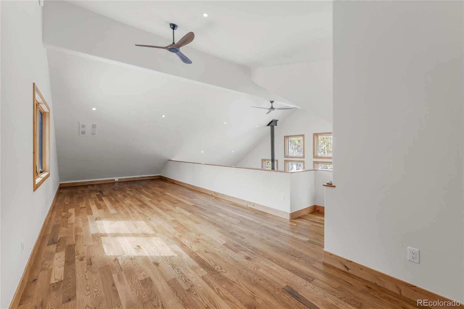 MLS Image #17 for 241  tabor drive,leadville, Colorado