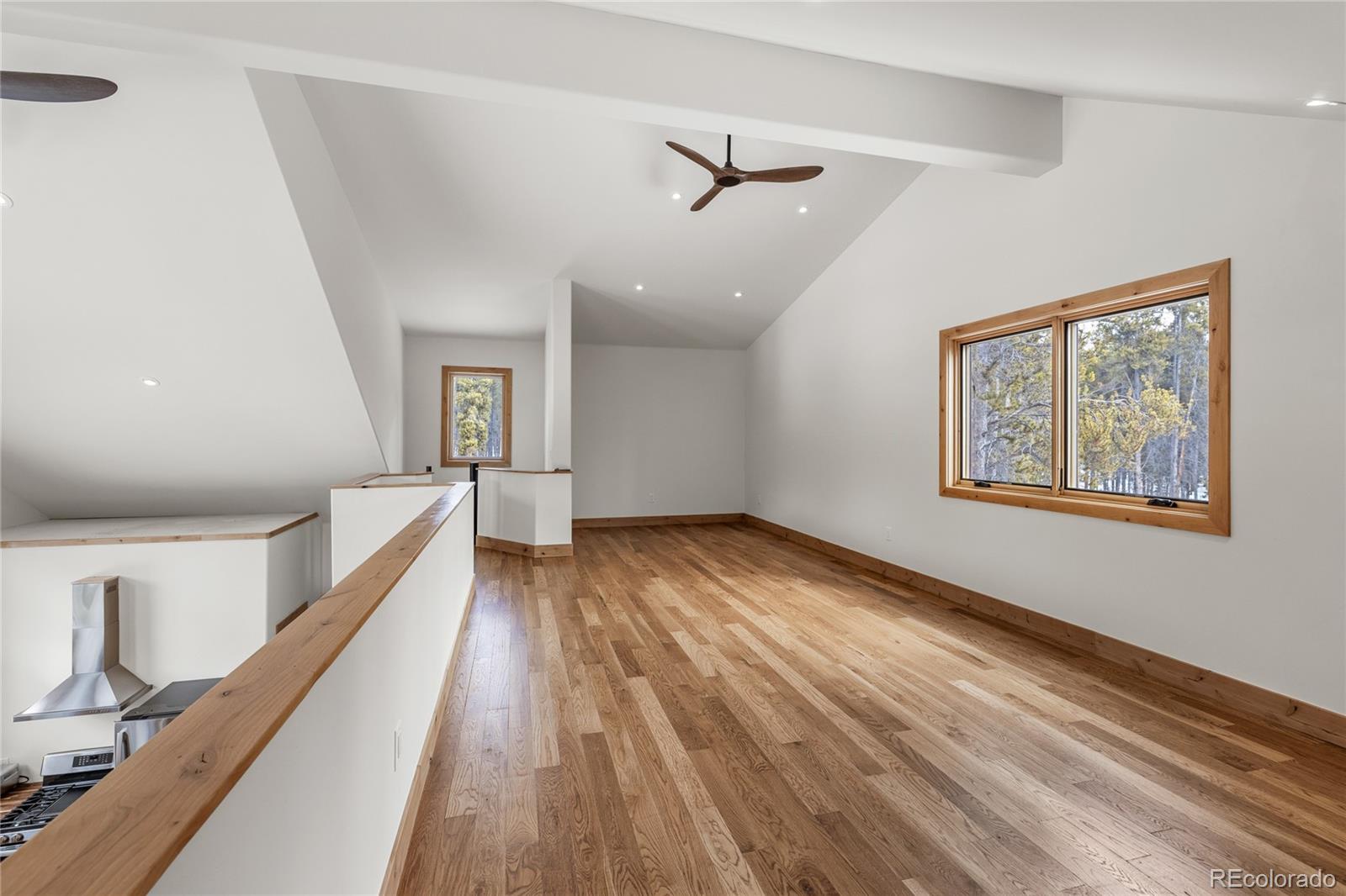 MLS Image #18 for 241  tabor drive,leadville, Colorado