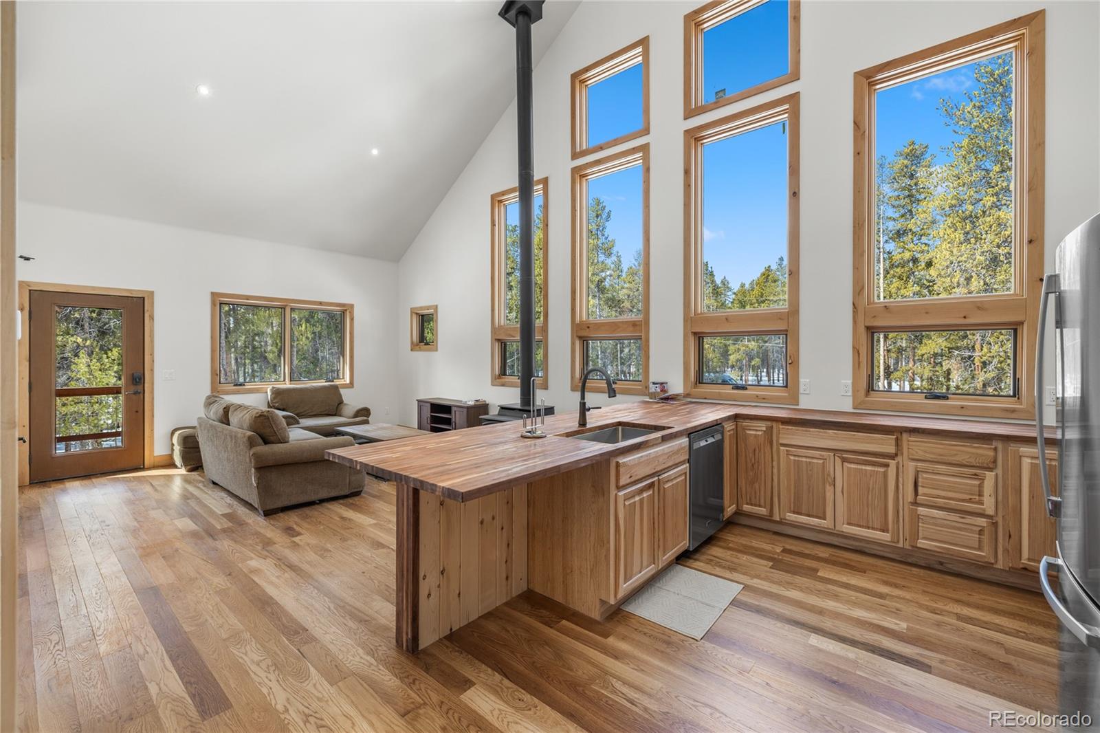 MLS Image #2 for 241  tabor drive,leadville, Colorado