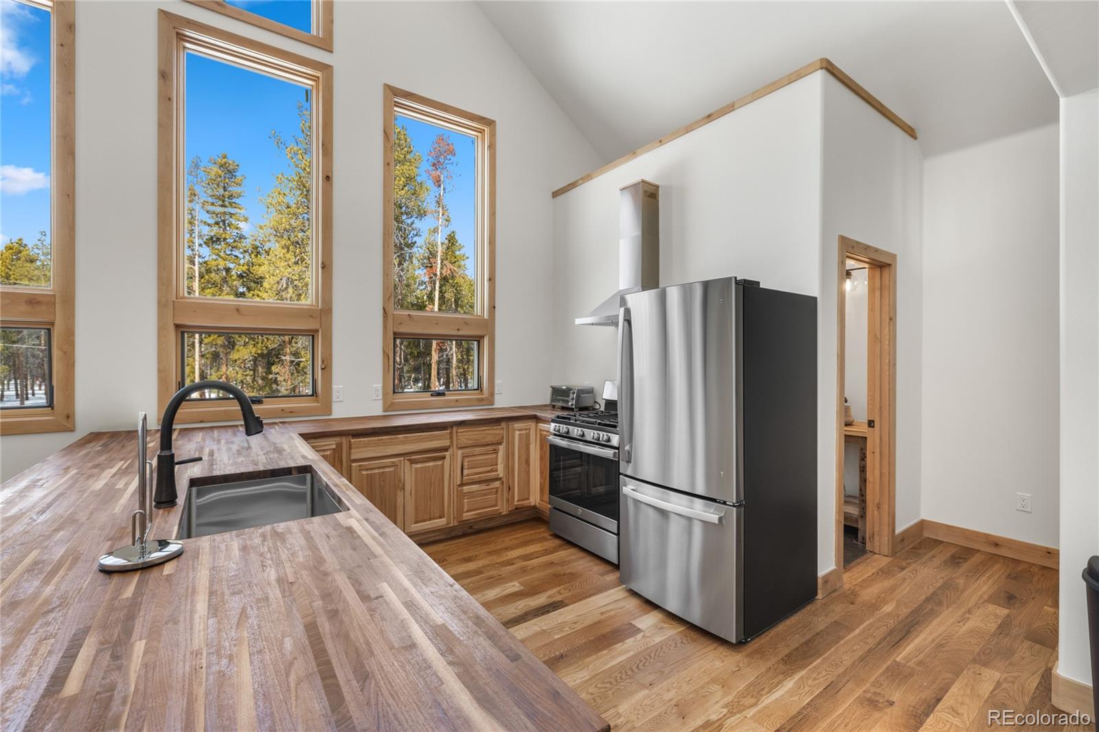 MLS Image #3 for 241  tabor drive,leadville, Colorado
