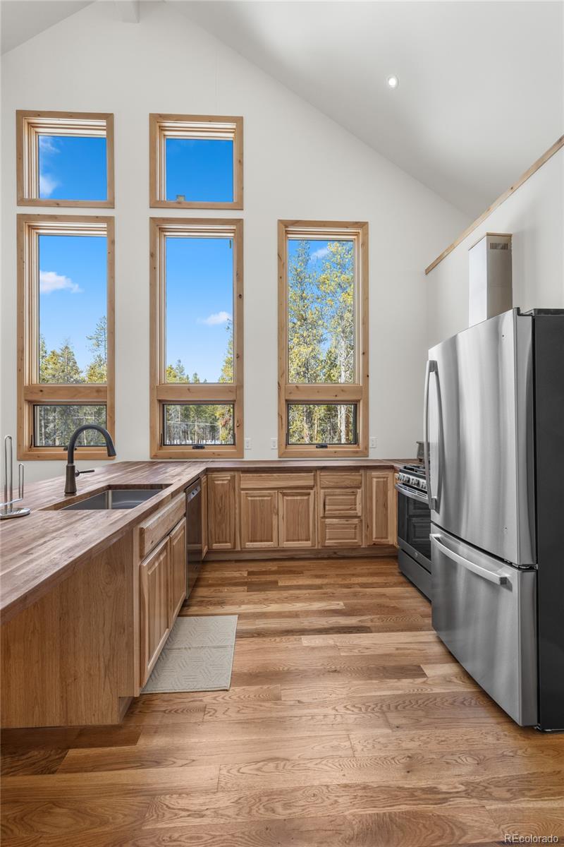 MLS Image #4 for 241  tabor drive,leadville, Colorado