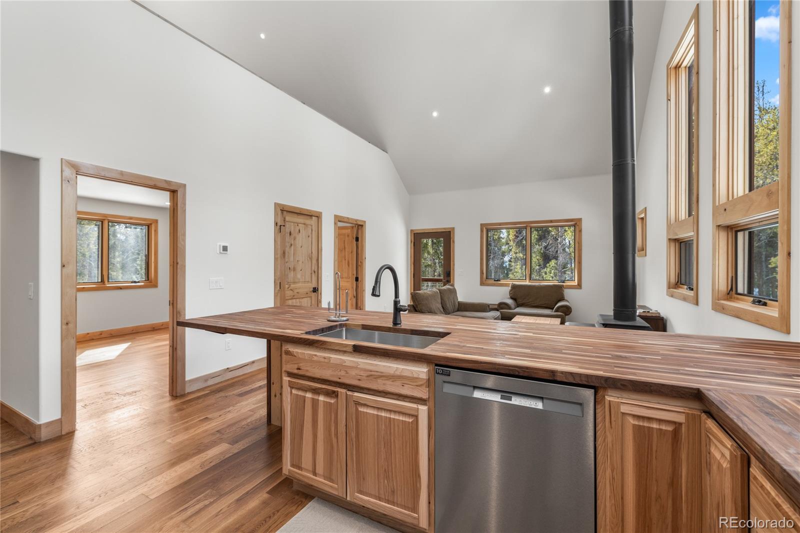 MLS Image #5 for 241  tabor drive,leadville, Colorado