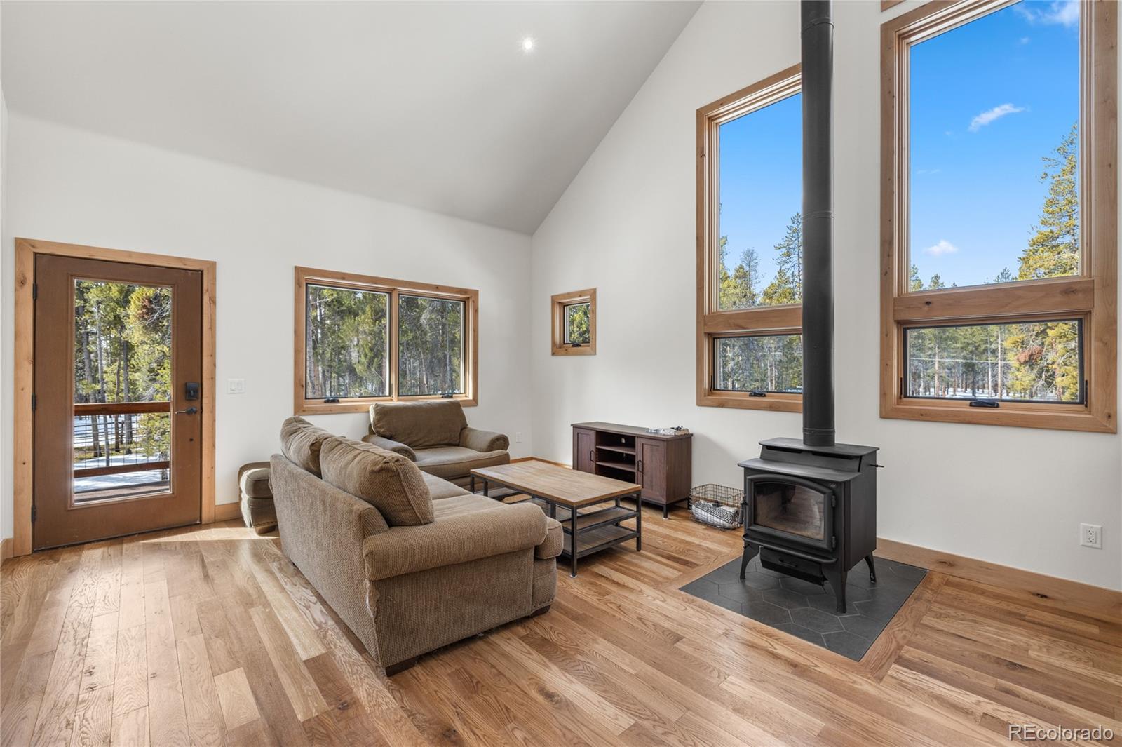 MLS Image #6 for 241  tabor drive,leadville, Colorado
