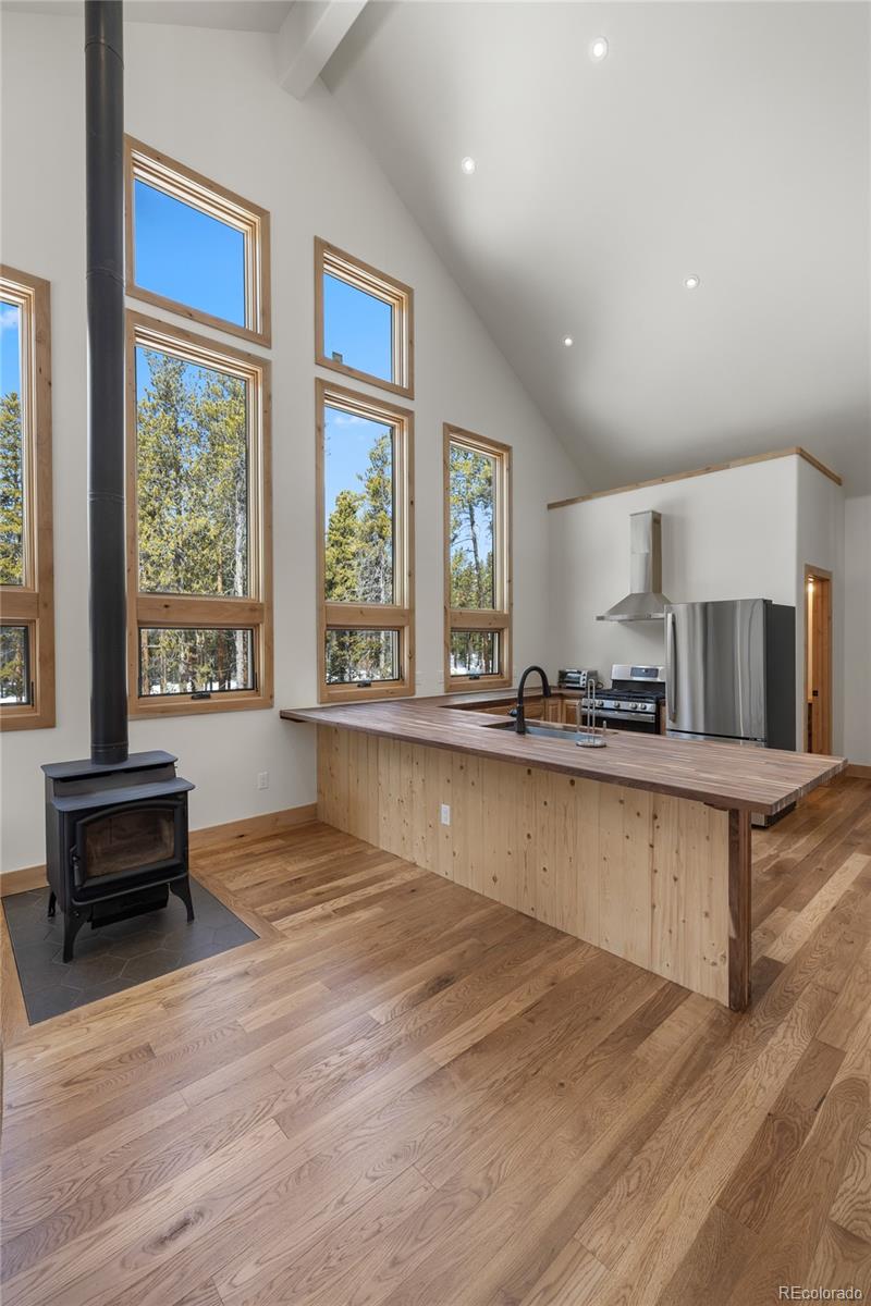MLS Image #7 for 241  tabor drive,leadville, Colorado