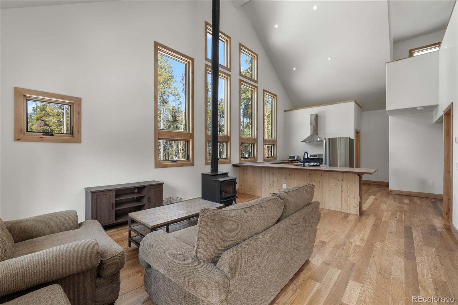 MLS Image #8 for 241  tabor drive,leadville, Colorado