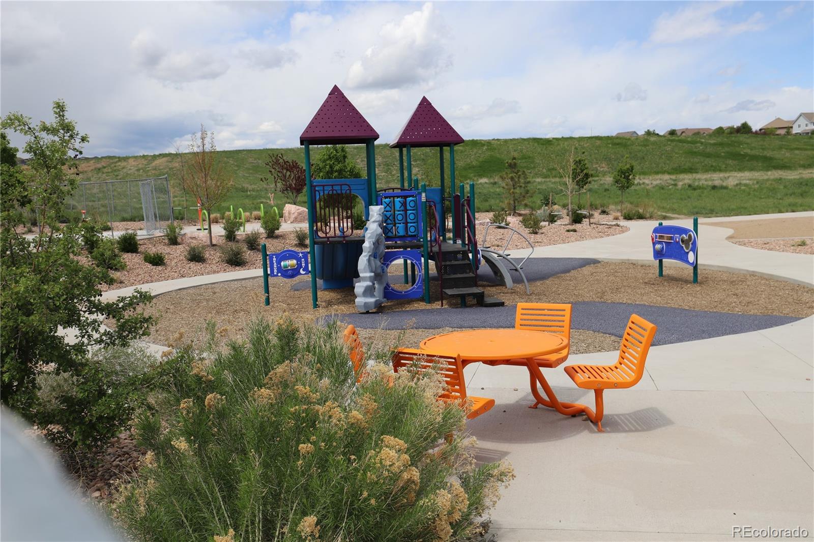 MLS Image #33 for 7470  blue water lane,castle rock, Colorado