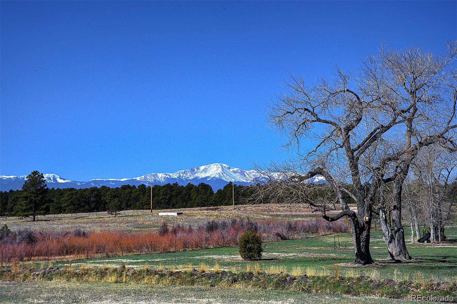 MLS Image #15 for 8883  shipman lane,colorado springs, Colorado