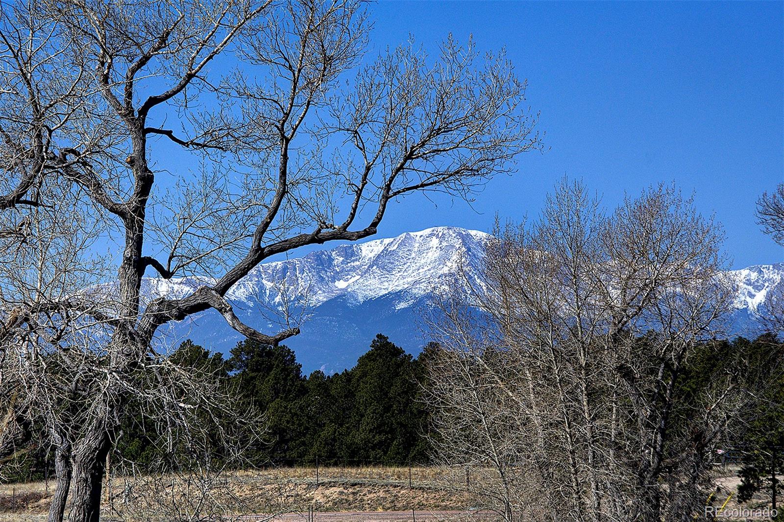 MLS Image #37 for 8883  shipman lane,colorado springs, Colorado