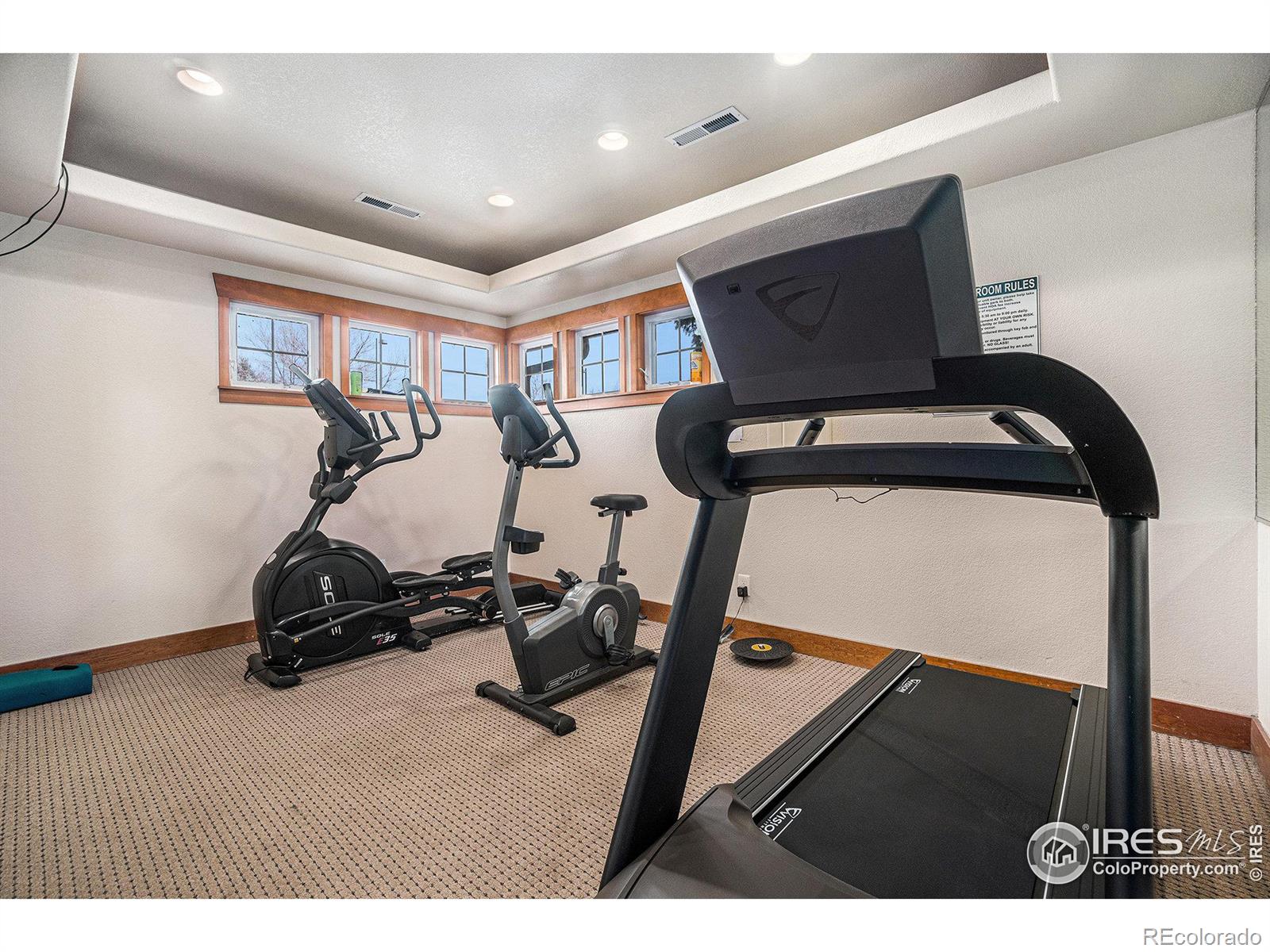 MLS Image #18 for 4745  hahns peak drive,loveland, Colorado