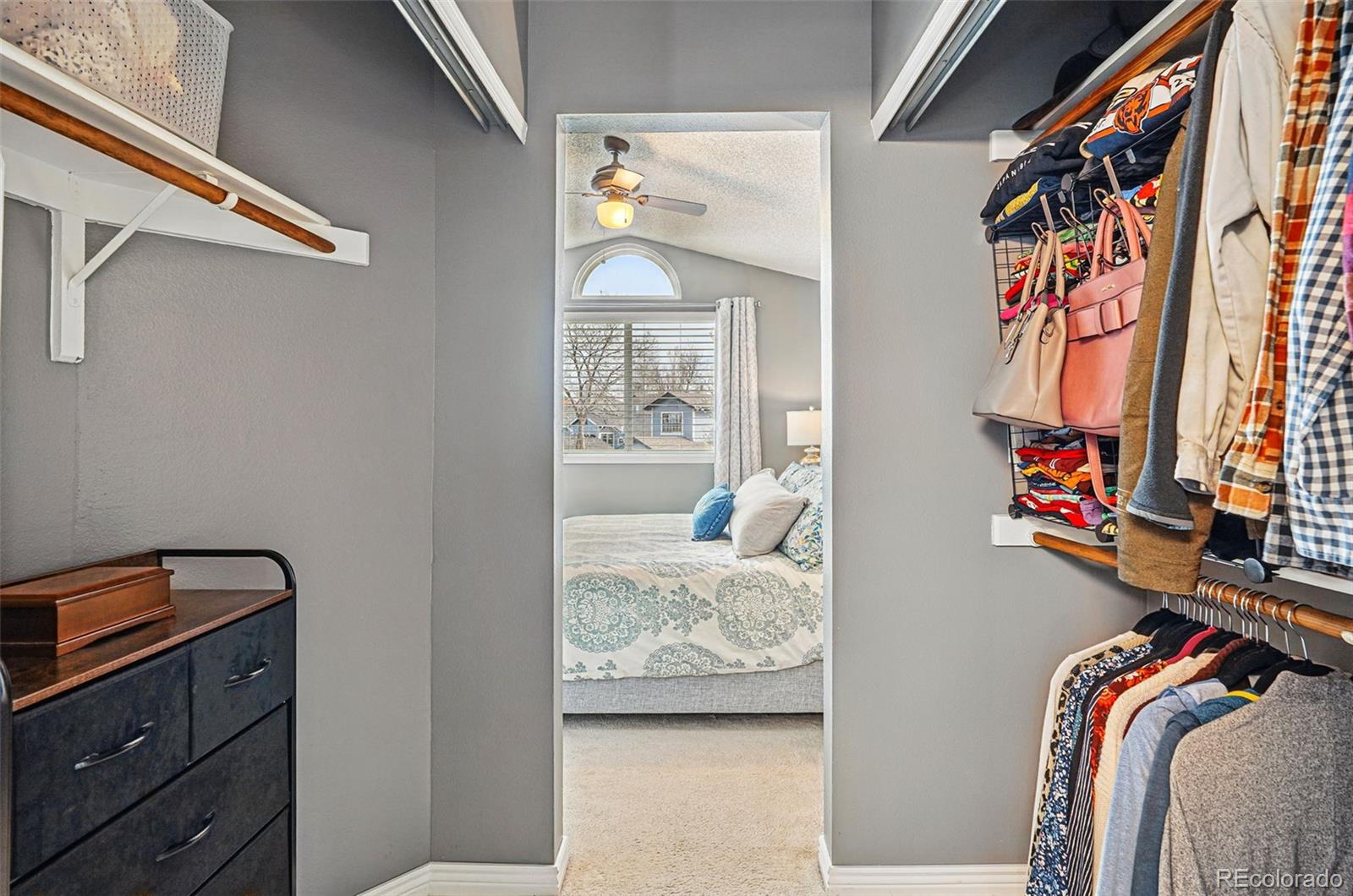 MLS Image #20 for 9521  joyce lane,highlands ranch, Colorado