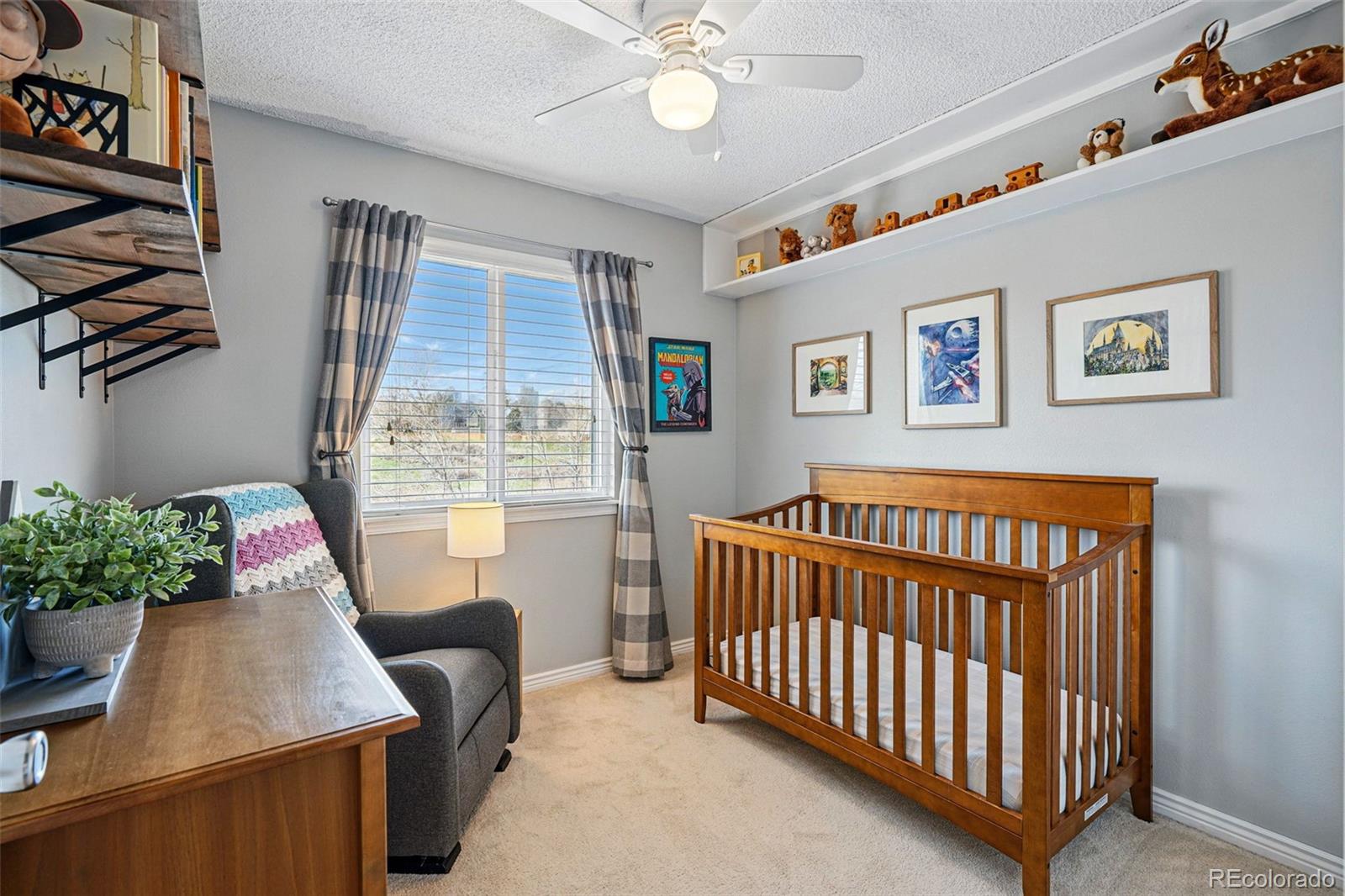 MLS Image #23 for 9521  joyce lane,highlands ranch, Colorado