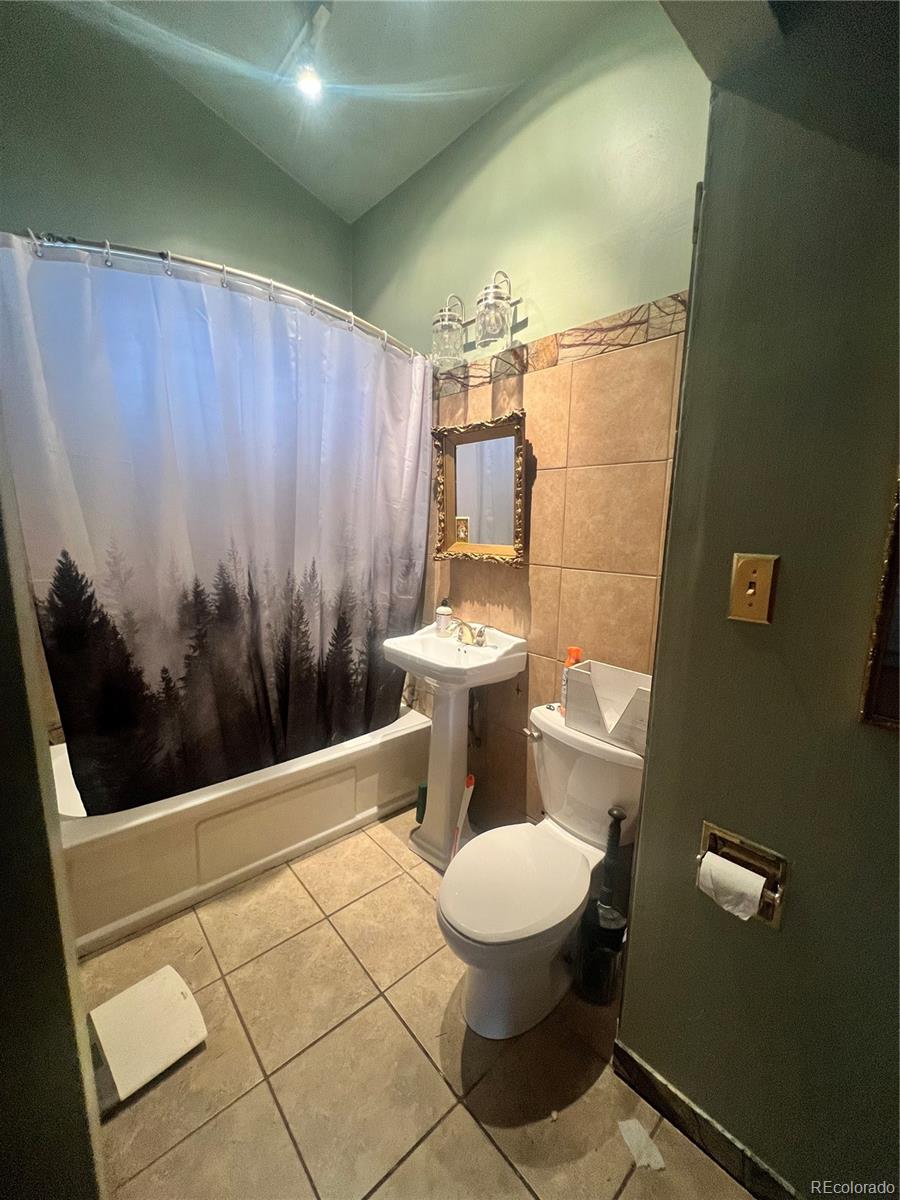 MLS Image #7 for 173  evans view drive,black hawk, Colorado