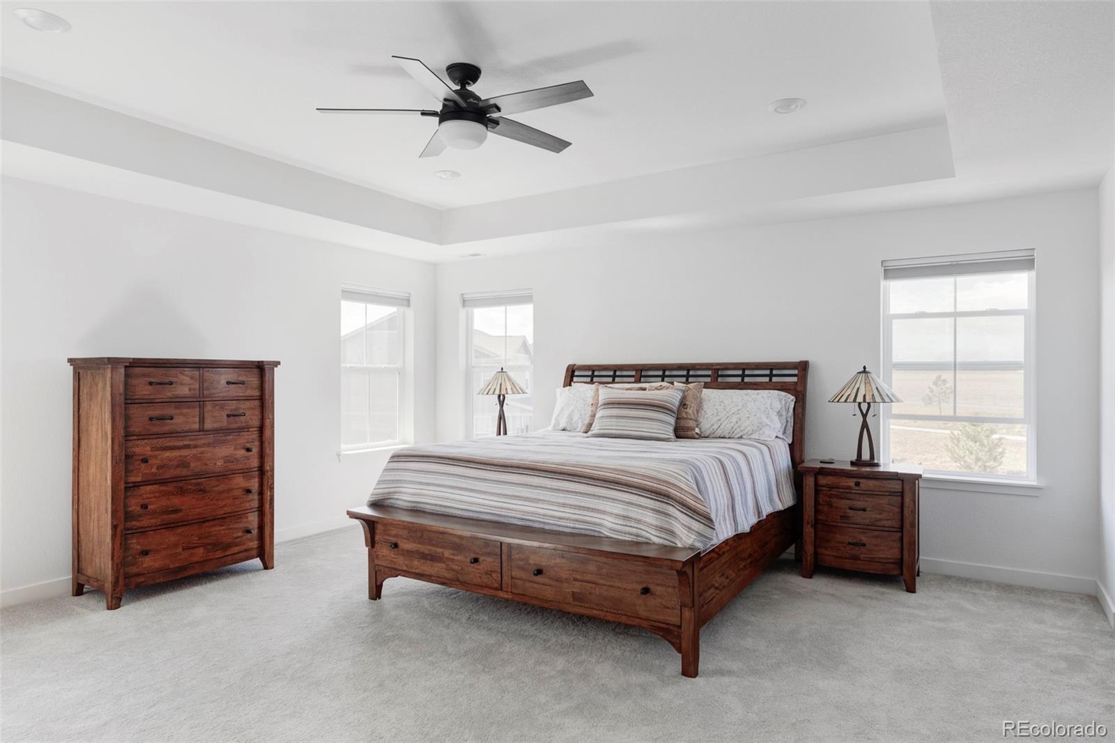 MLS Image #13 for 12965  grassland street,longmont, Colorado