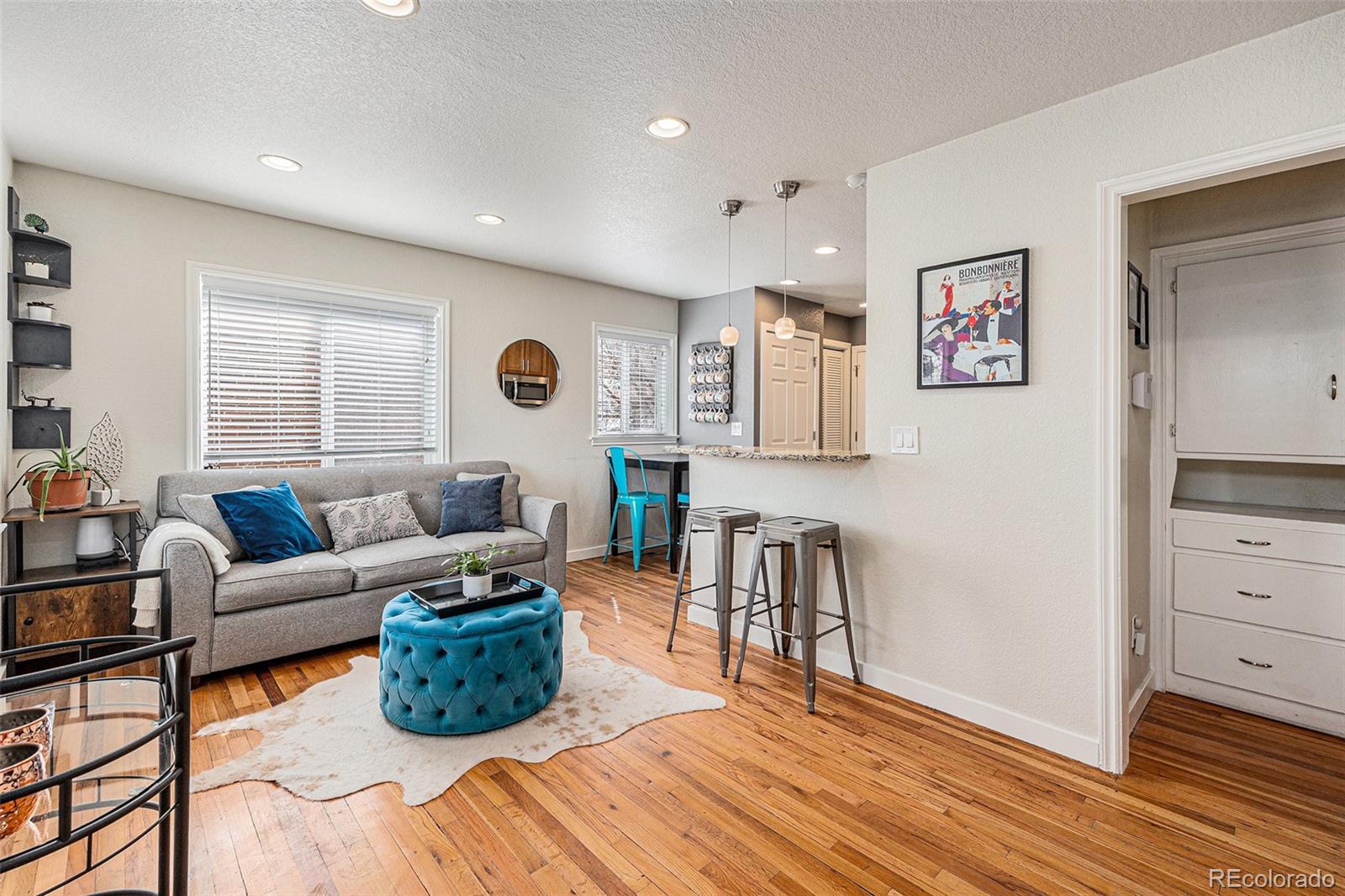 MLS Image #3 for 1575  verbena street,denver, Colorado