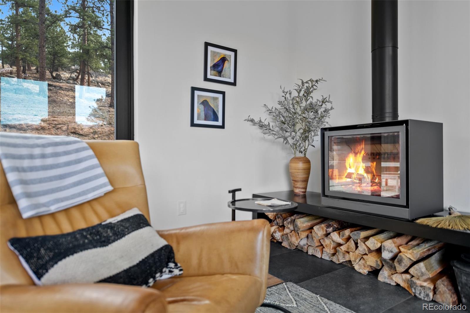 MLS Image #12 for 5266  mountain vista lane,evergreen, Colorado
