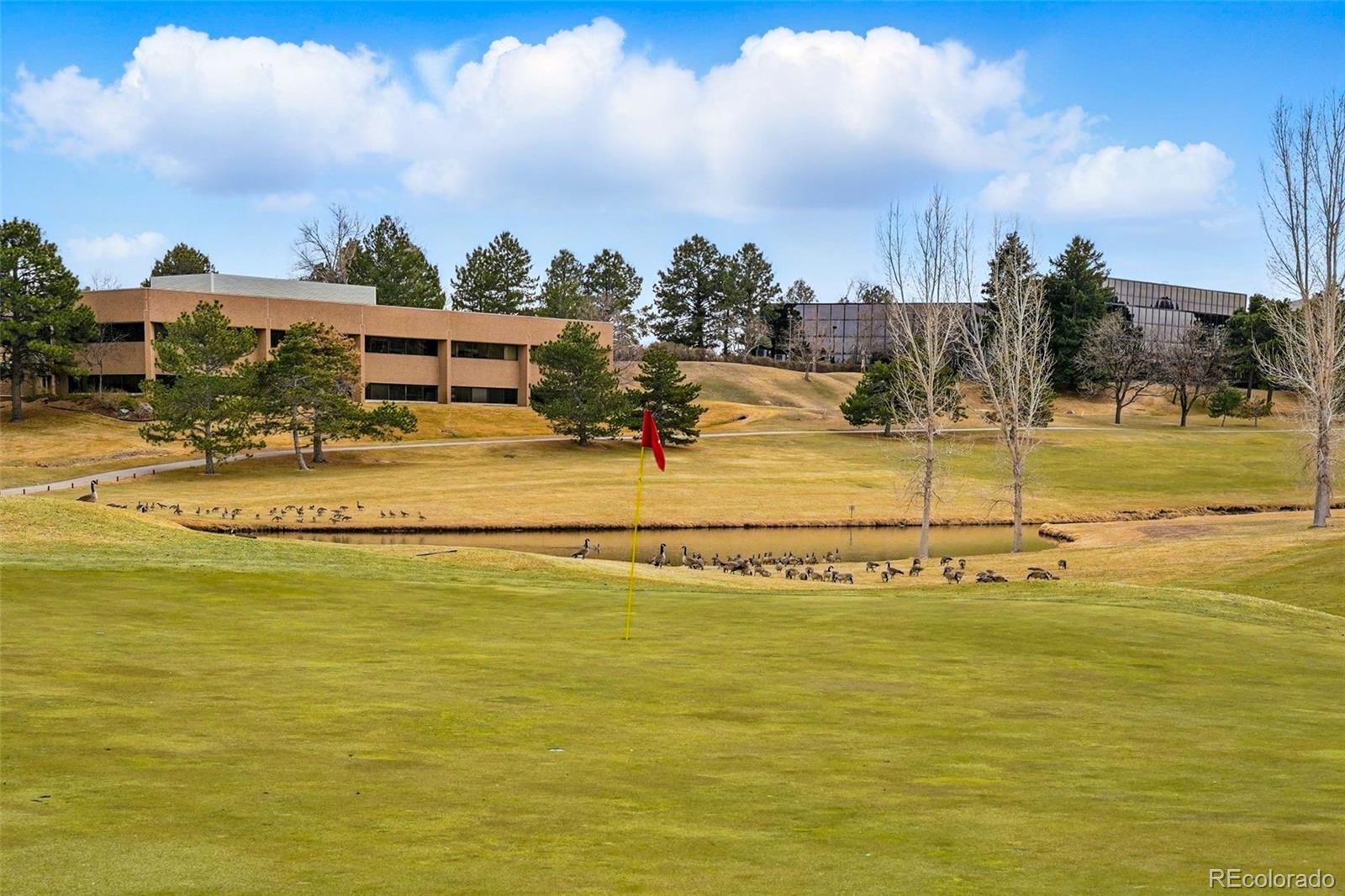 MLS Image #40 for 7831  inverness boulevard ,englewood, Colorado