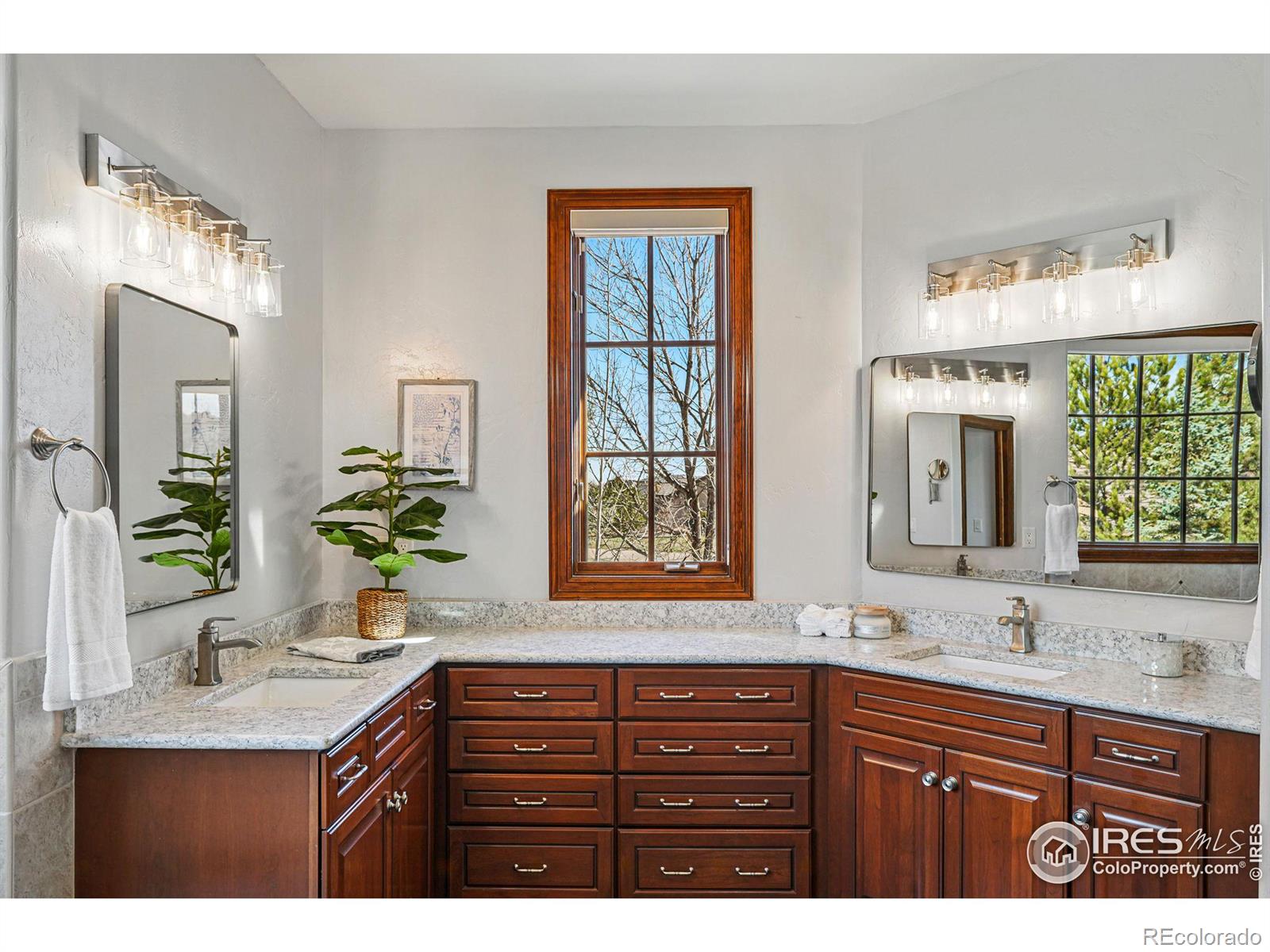 MLS Image #20 for 8733  portico lane,longmont, Colorado