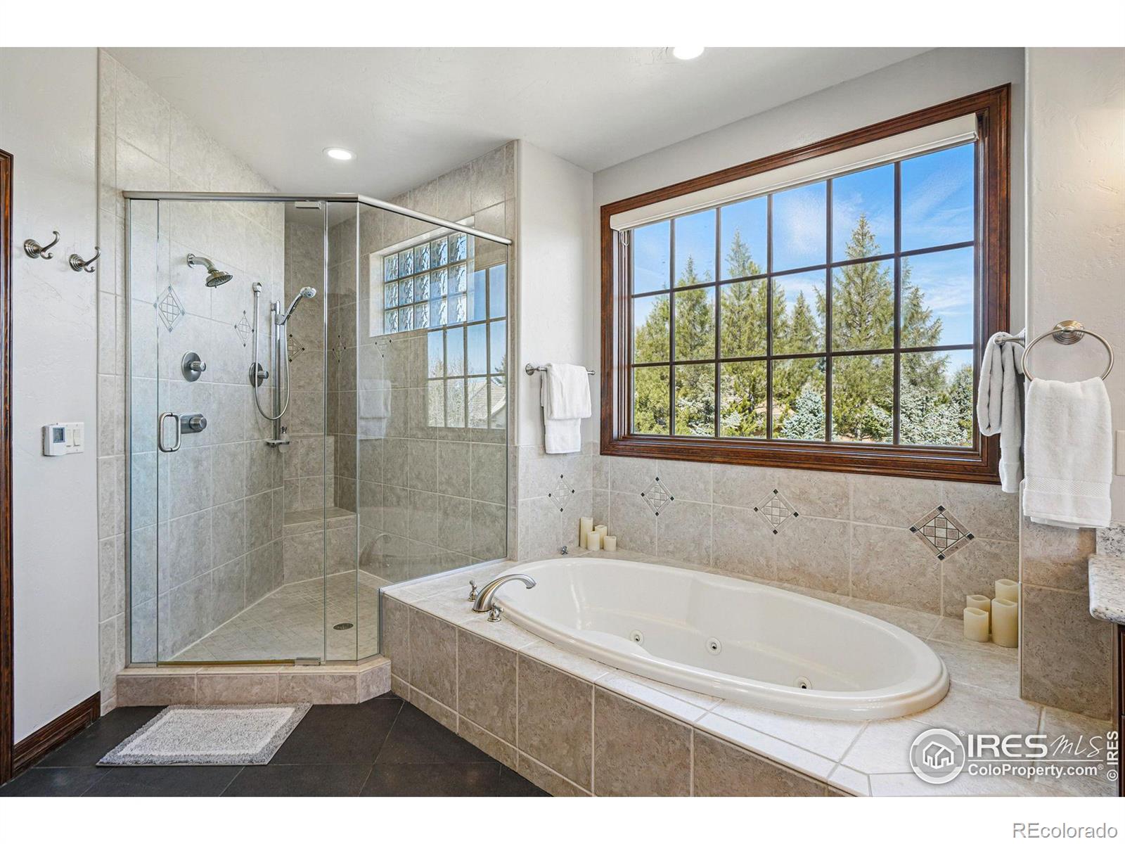MLS Image #21 for 8733  portico lane,longmont, Colorado