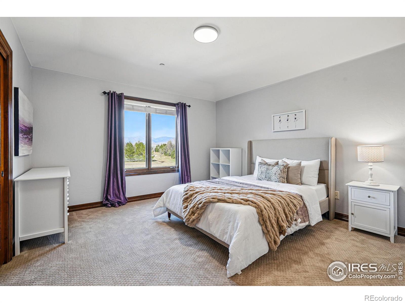 MLS Image #22 for 8733  portico lane,longmont, Colorado