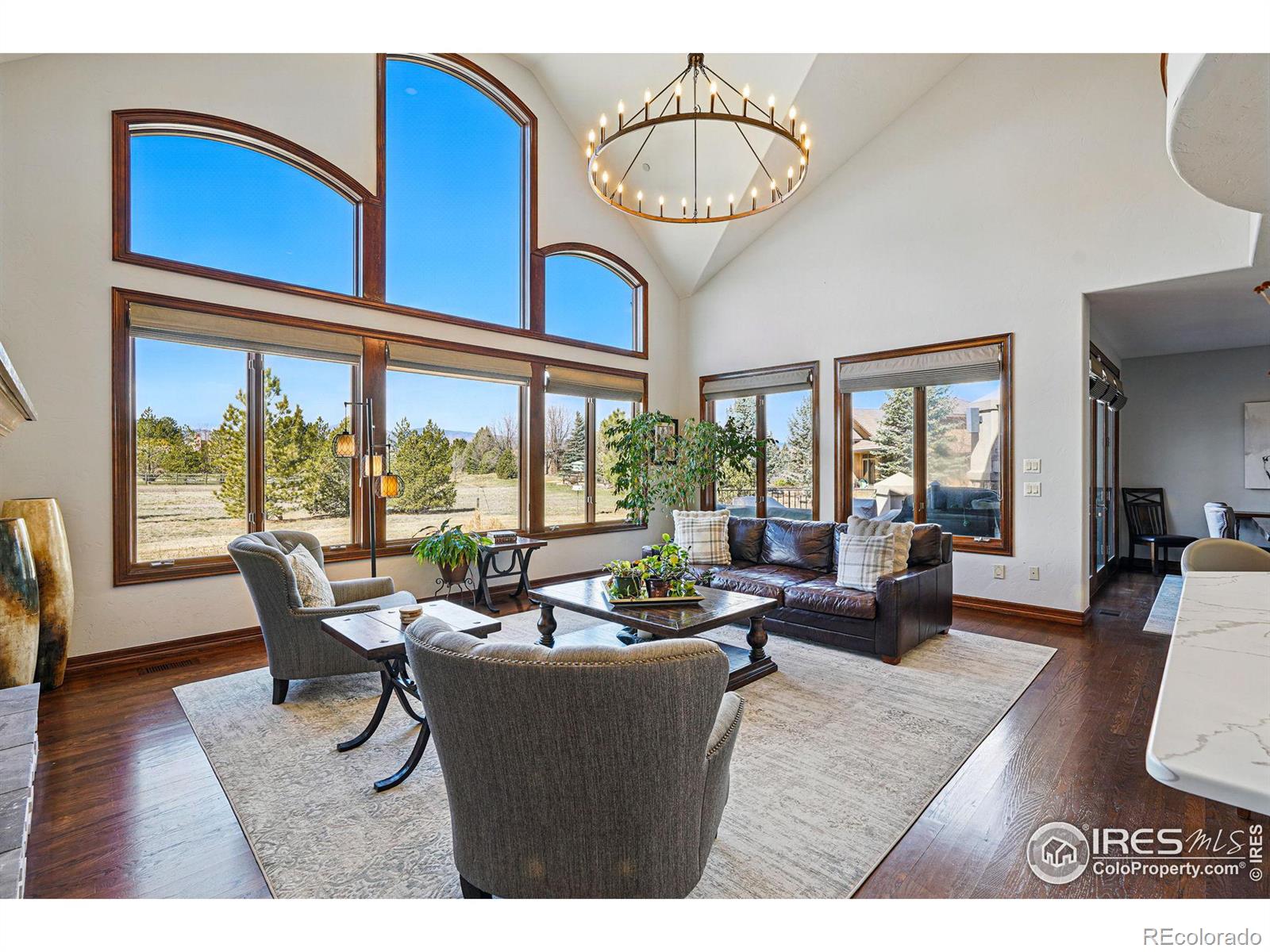 MLS Image #5 for 8733  portico lane,longmont, Colorado
