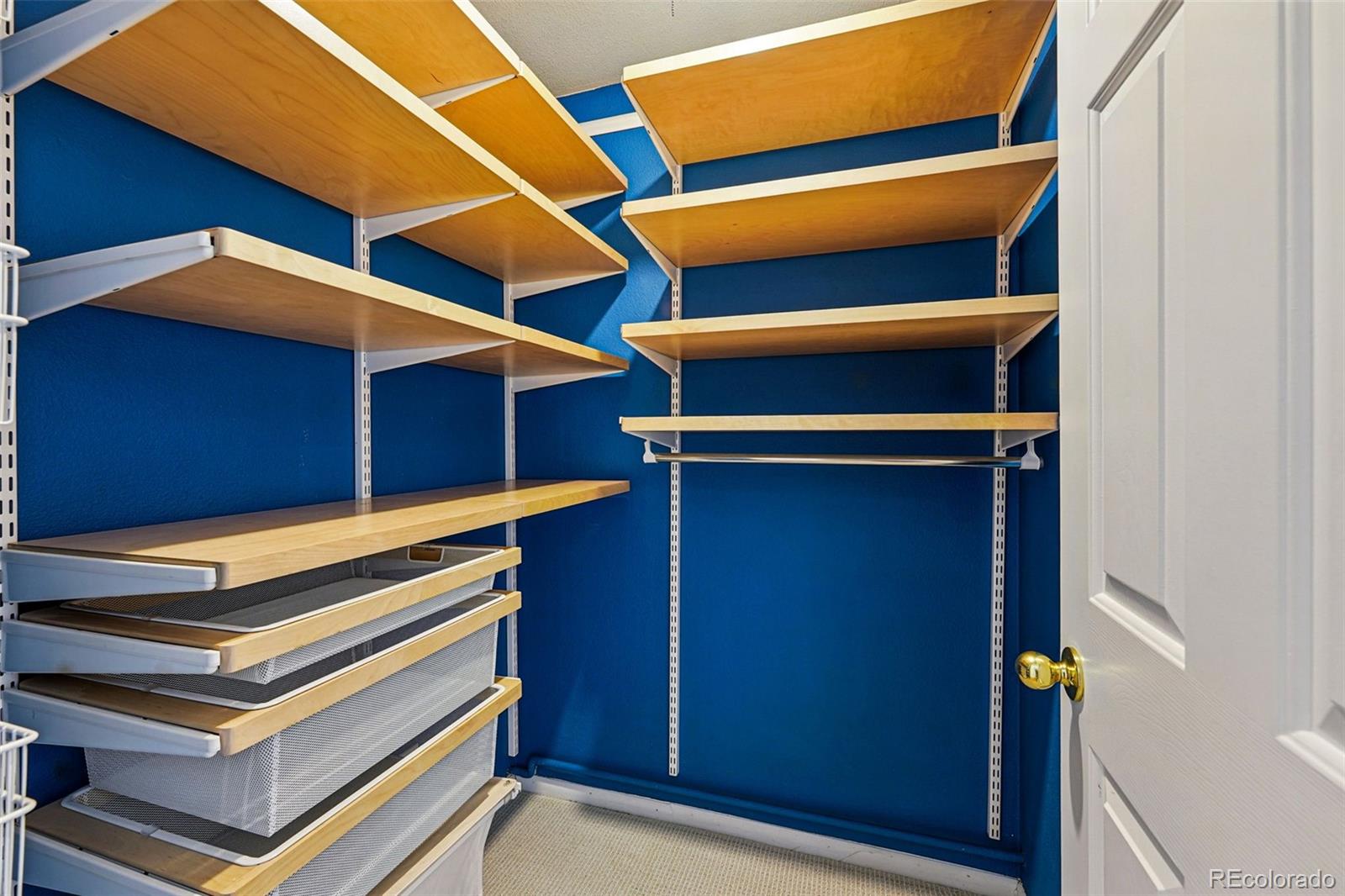 MLS Image #11 for 1242  gaylord street 101,denver, Colorado