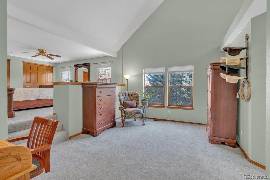 MLS Image #17 for 7340  brixham circle,castle pines, Colorado