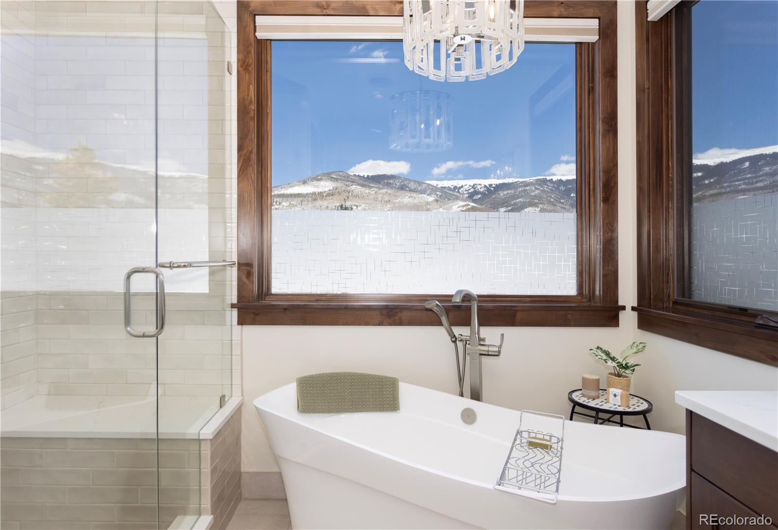 MLS Image #16 for 285  high park court,silverthorne, Colorado