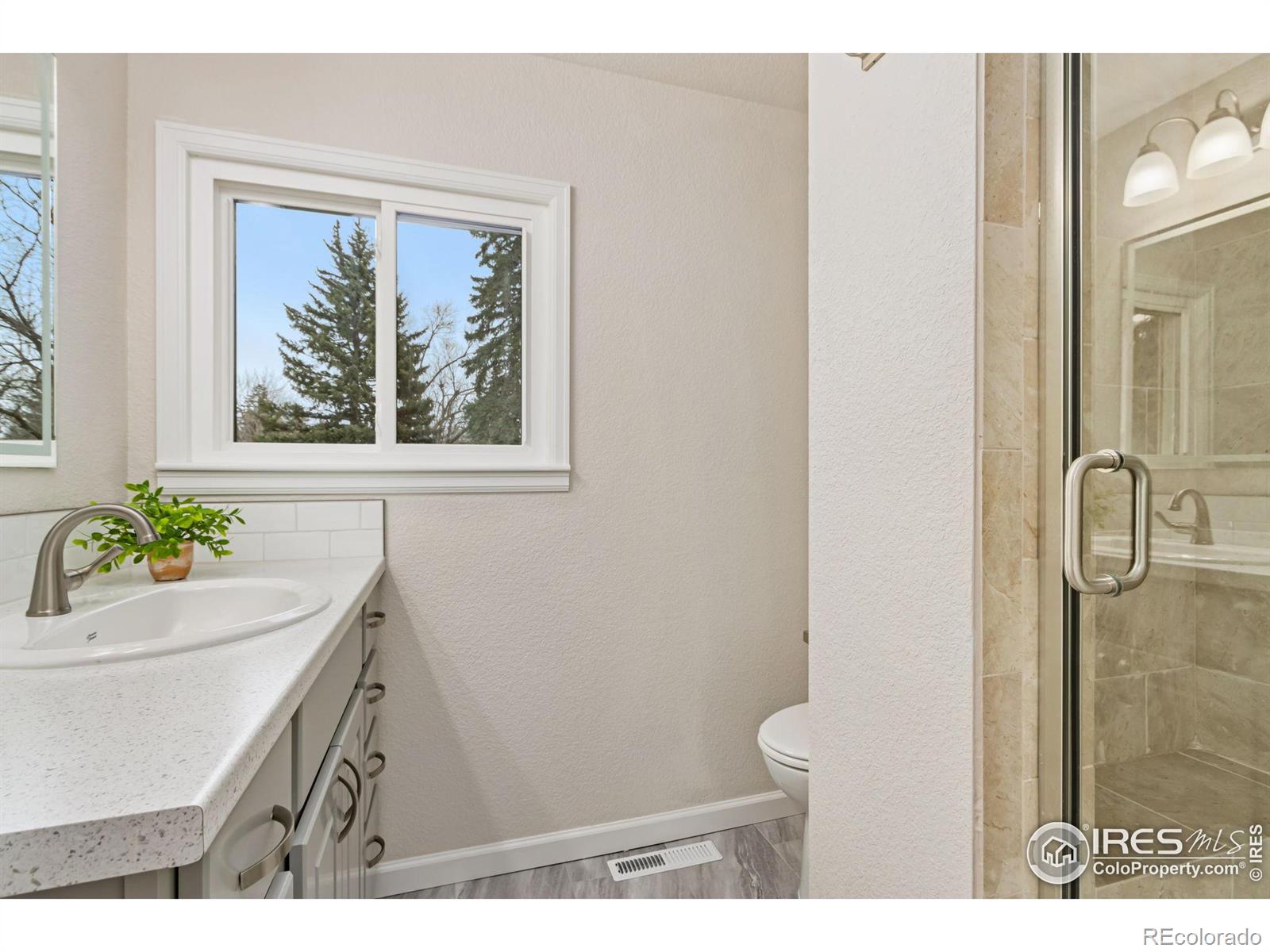 MLS Image #20 for 1109  ellis street,fort collins, Colorado