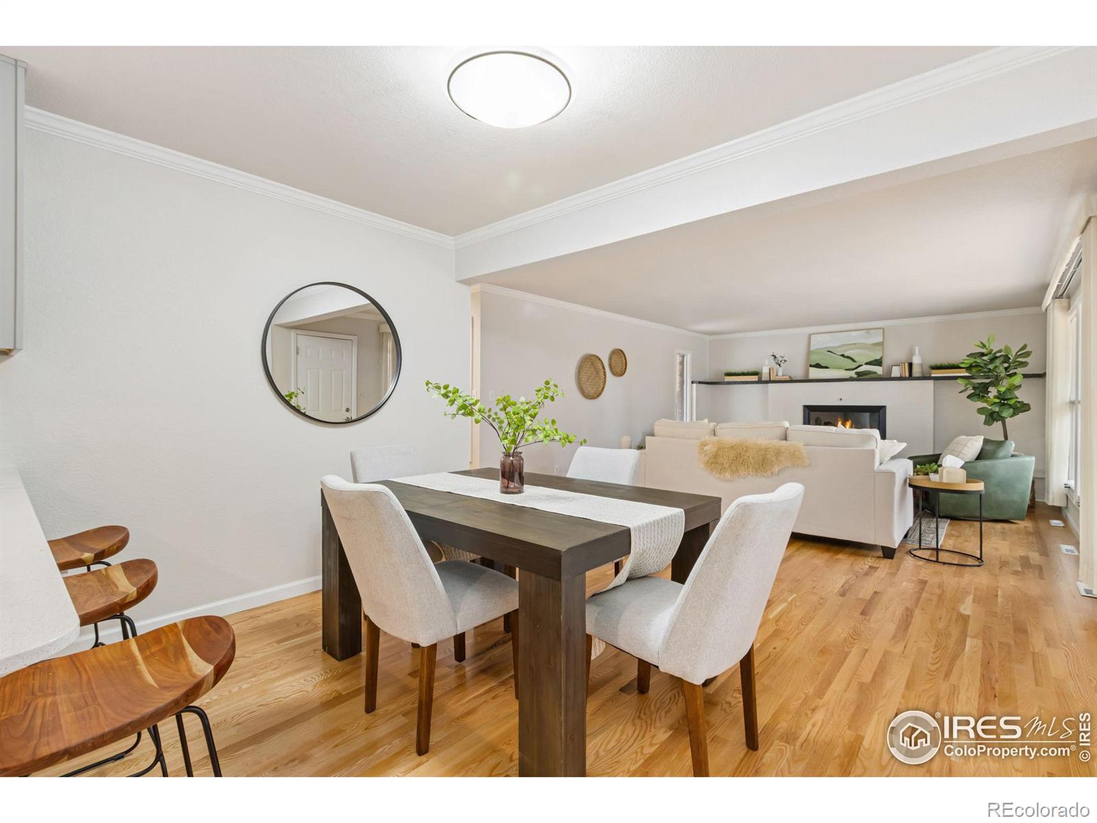 MLS Image #5 for 1109  ellis street,fort collins, Colorado