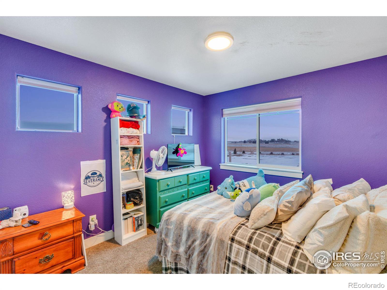 MLS Image #24 for 5050  prairie lark lane,eaton, Colorado