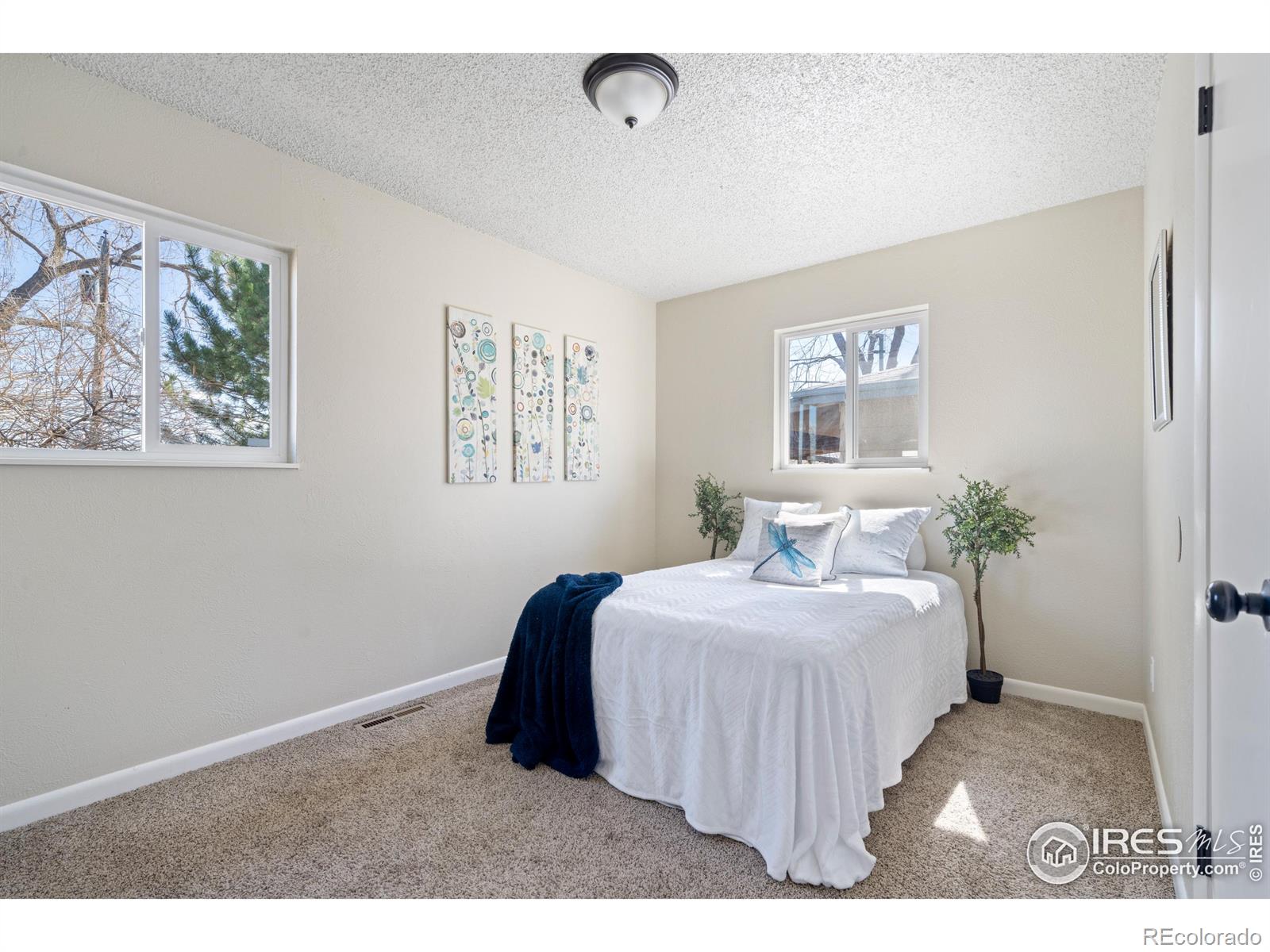 MLS Image #9 for 3402  magnolia street,evans, Colorado