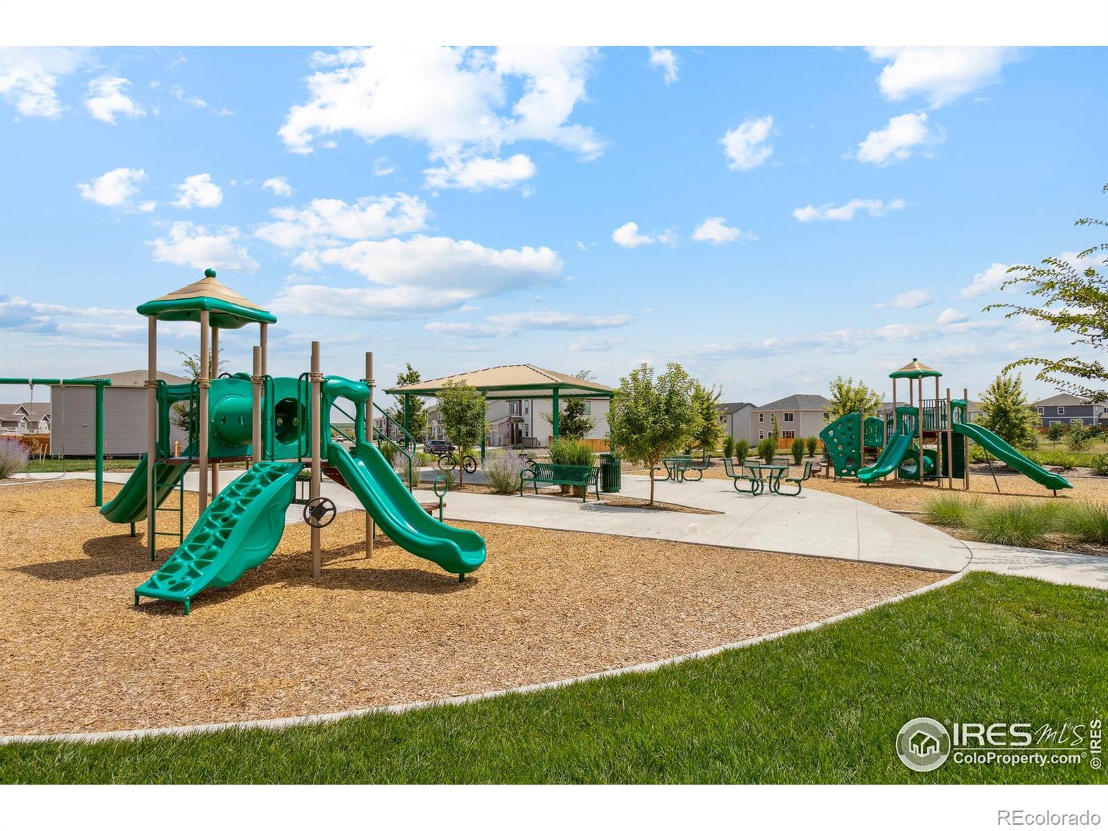 MLS Image #17 for 977  cascade falls street,severance, Colorado