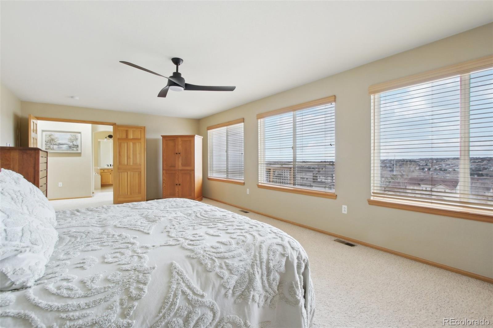 MLS Image #23 for 22295  golfview lane,parker, Colorado