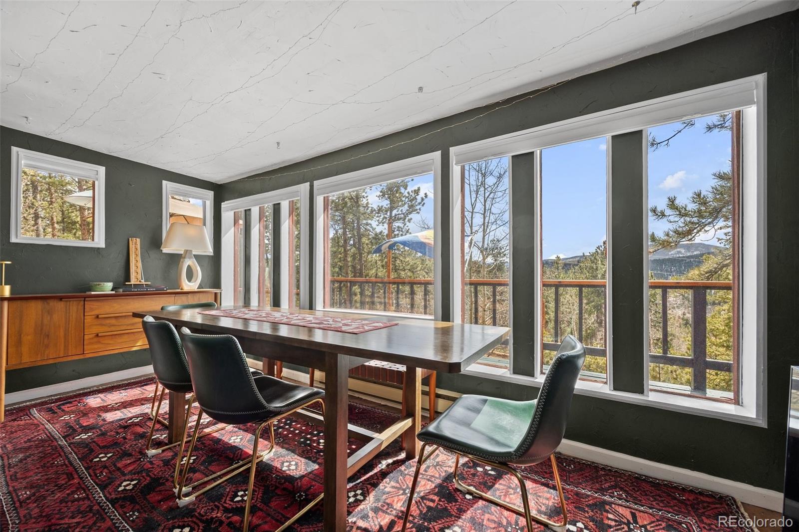 MLS Image #12 for 21  gauthier road,bailey, Colorado