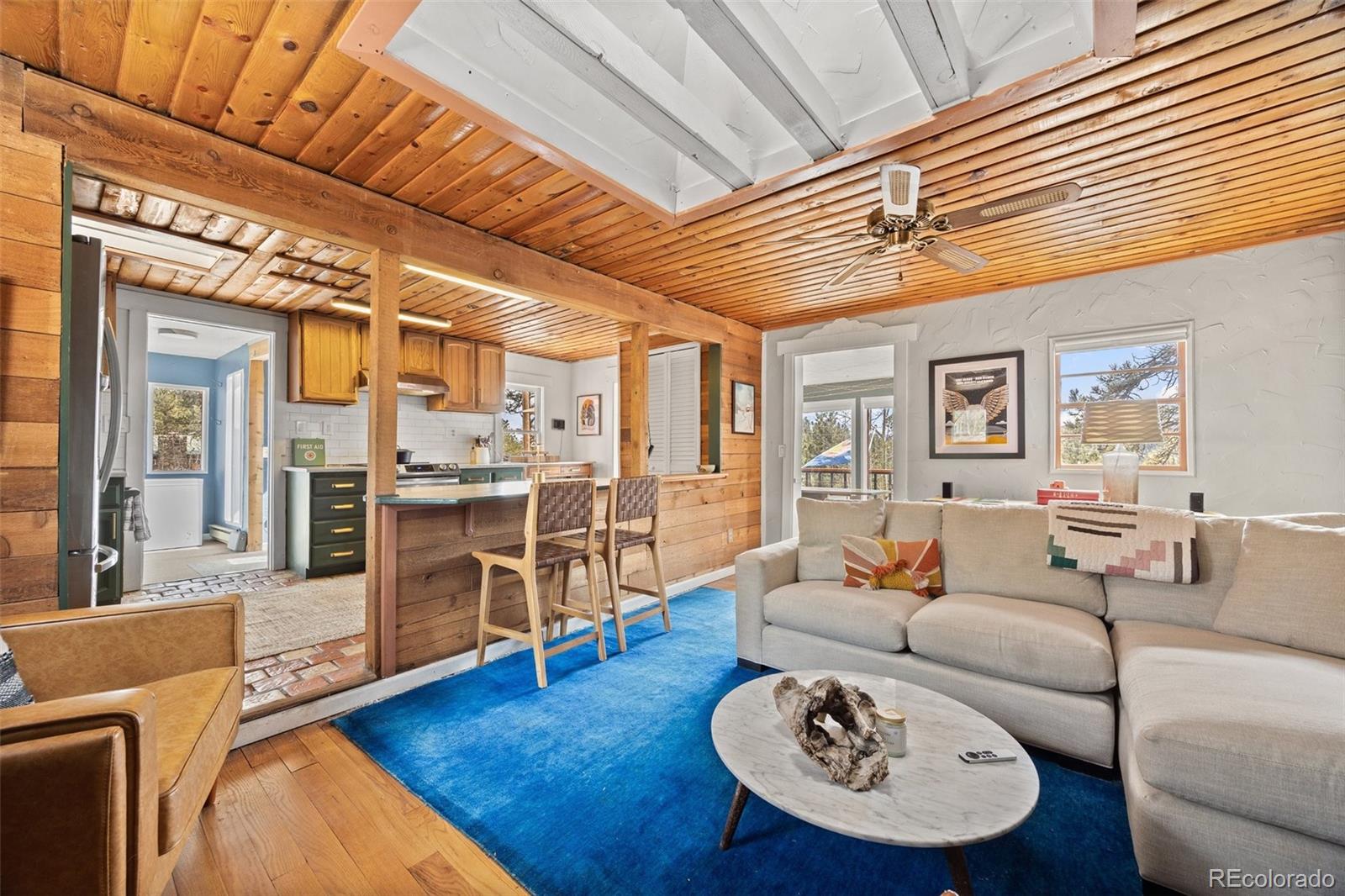 MLS Image #13 for 21  gauthier road,bailey, Colorado