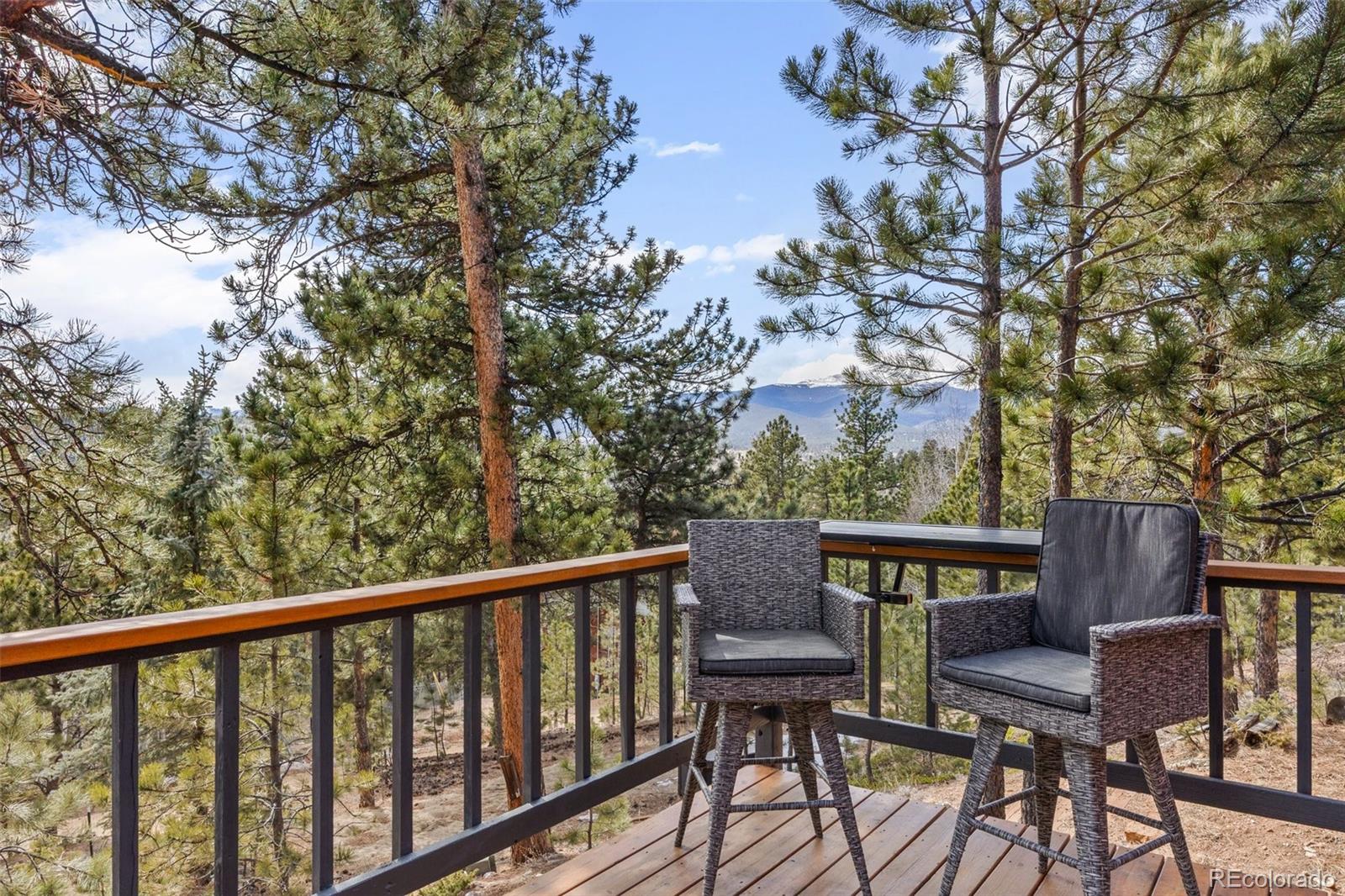 MLS Image #31 for 21  gauthier road,bailey, Colorado