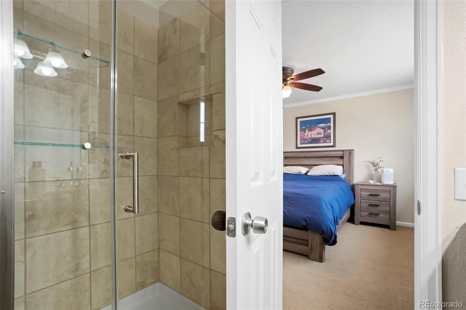 MLS Image #21 for 17623  cornish place,parker, Colorado