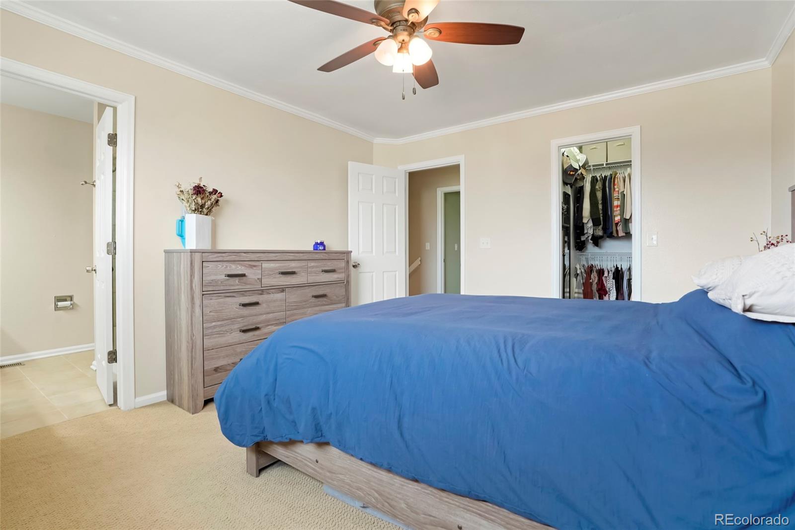 MLS Image #24 for 17623  cornish place,parker, Colorado